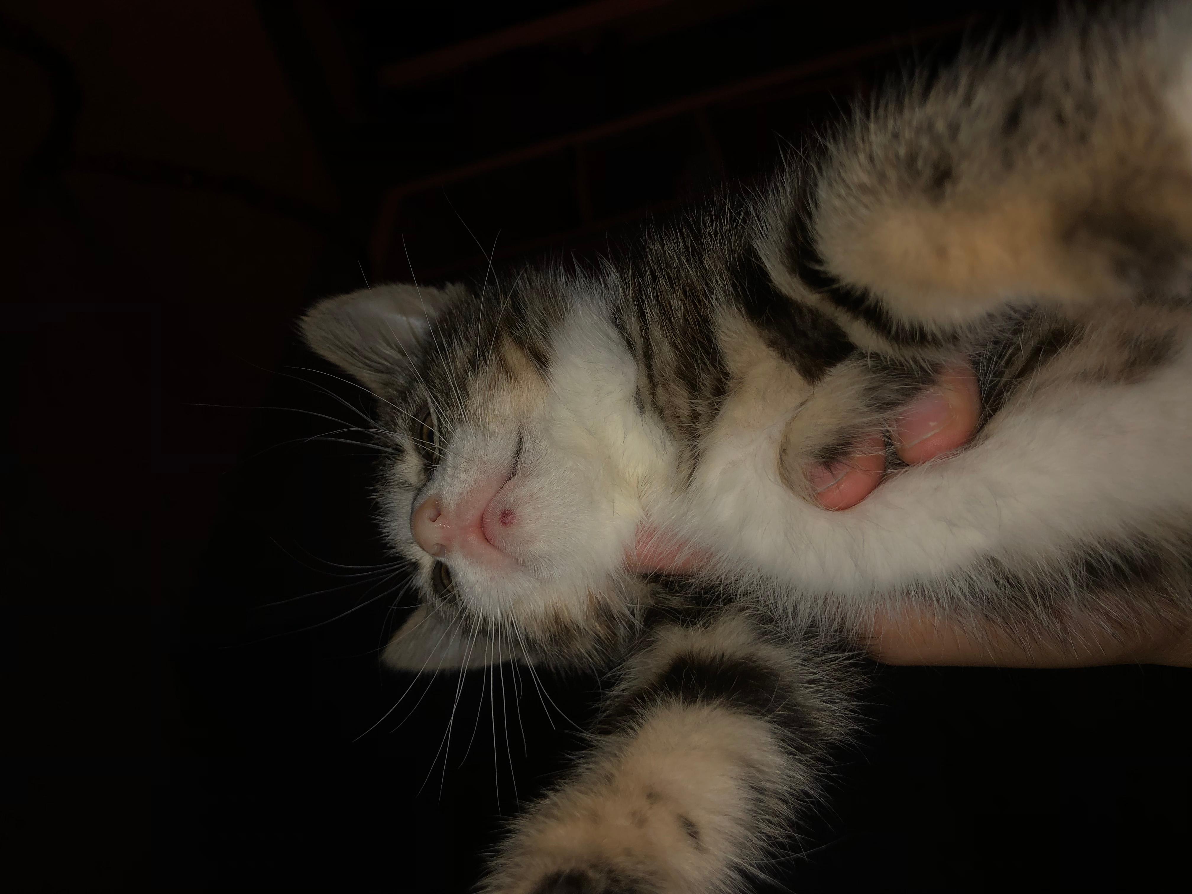 Question details sensitive content