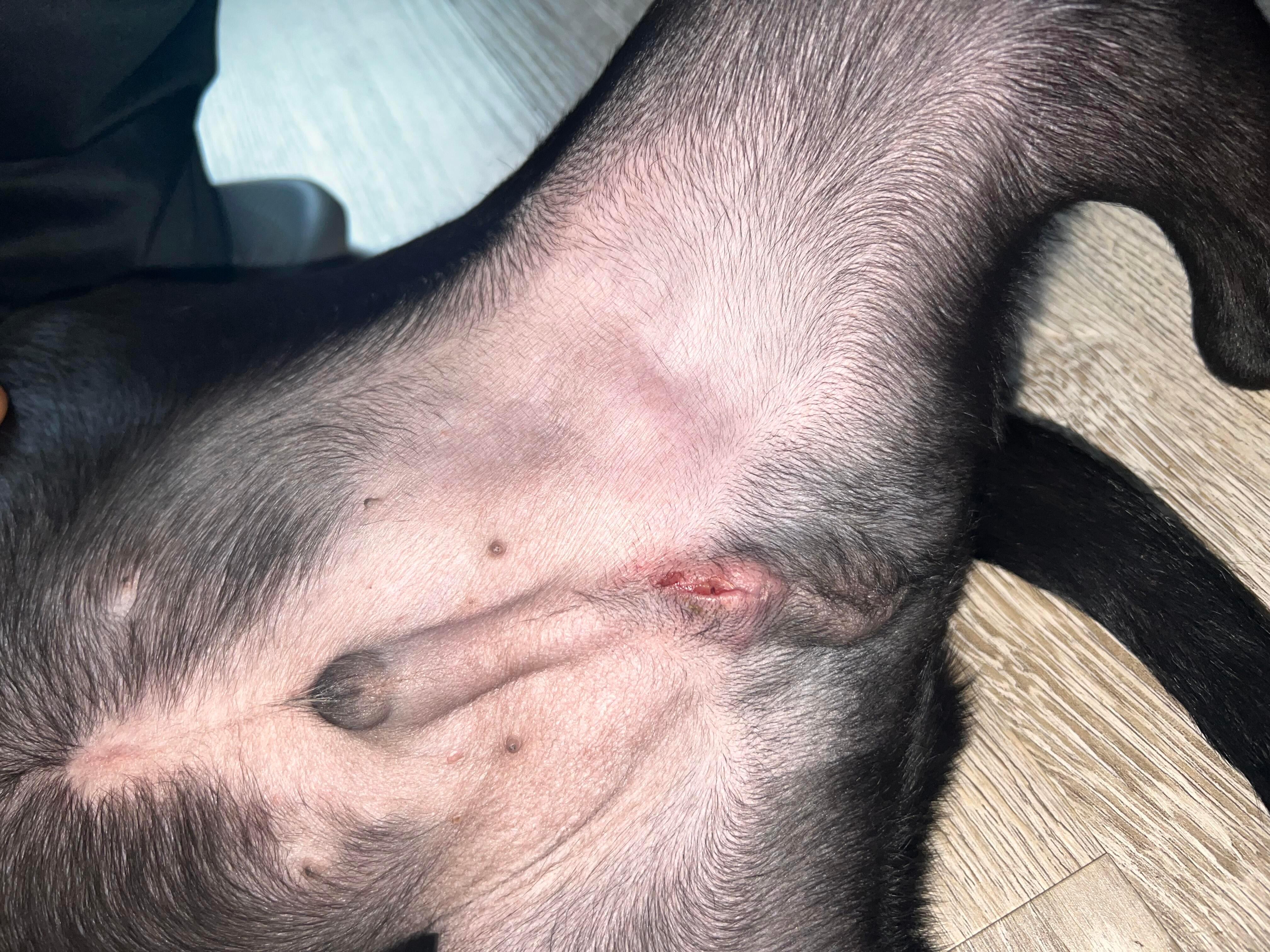 Question details sensitive content