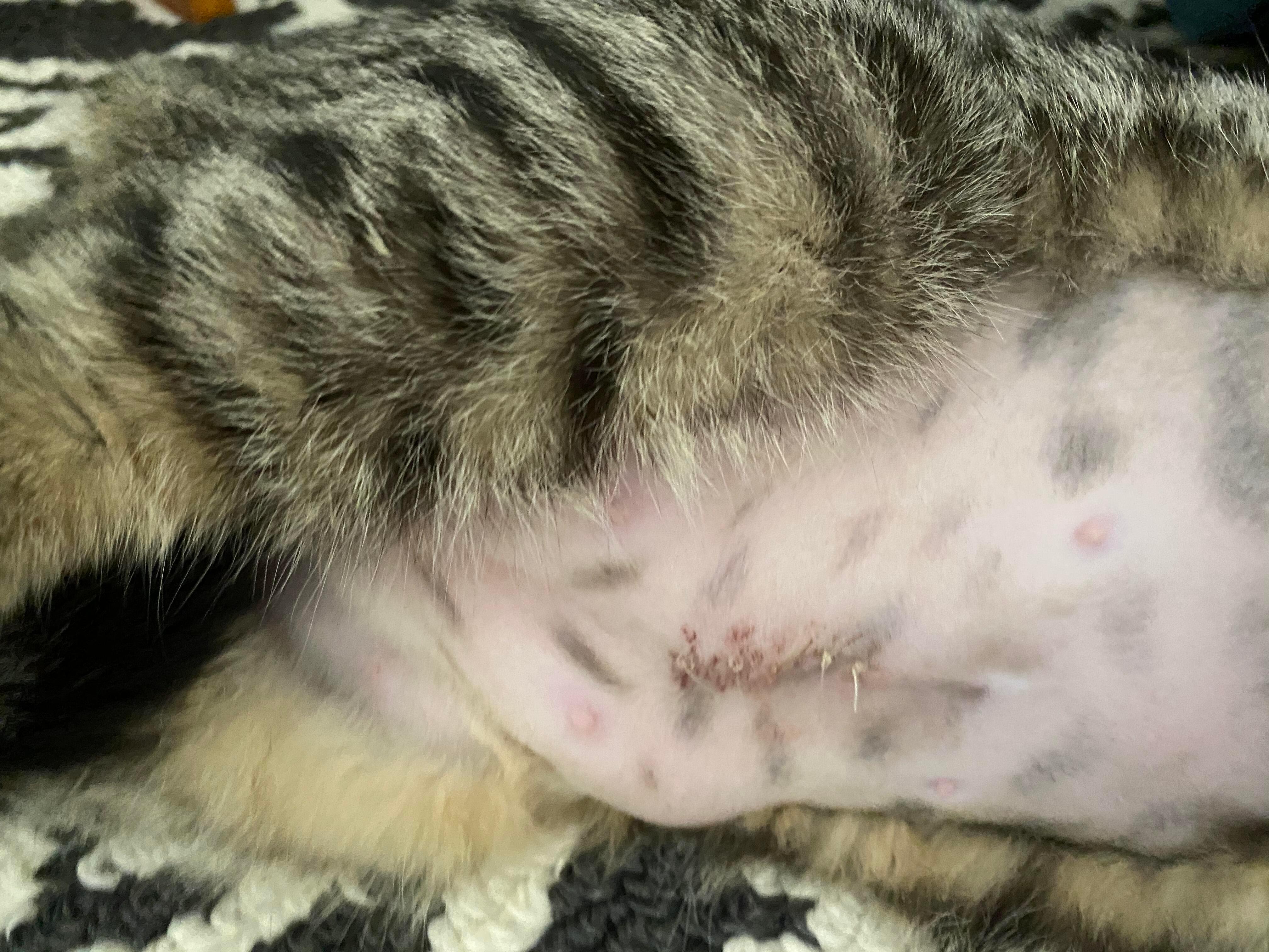 Question details sensitive content