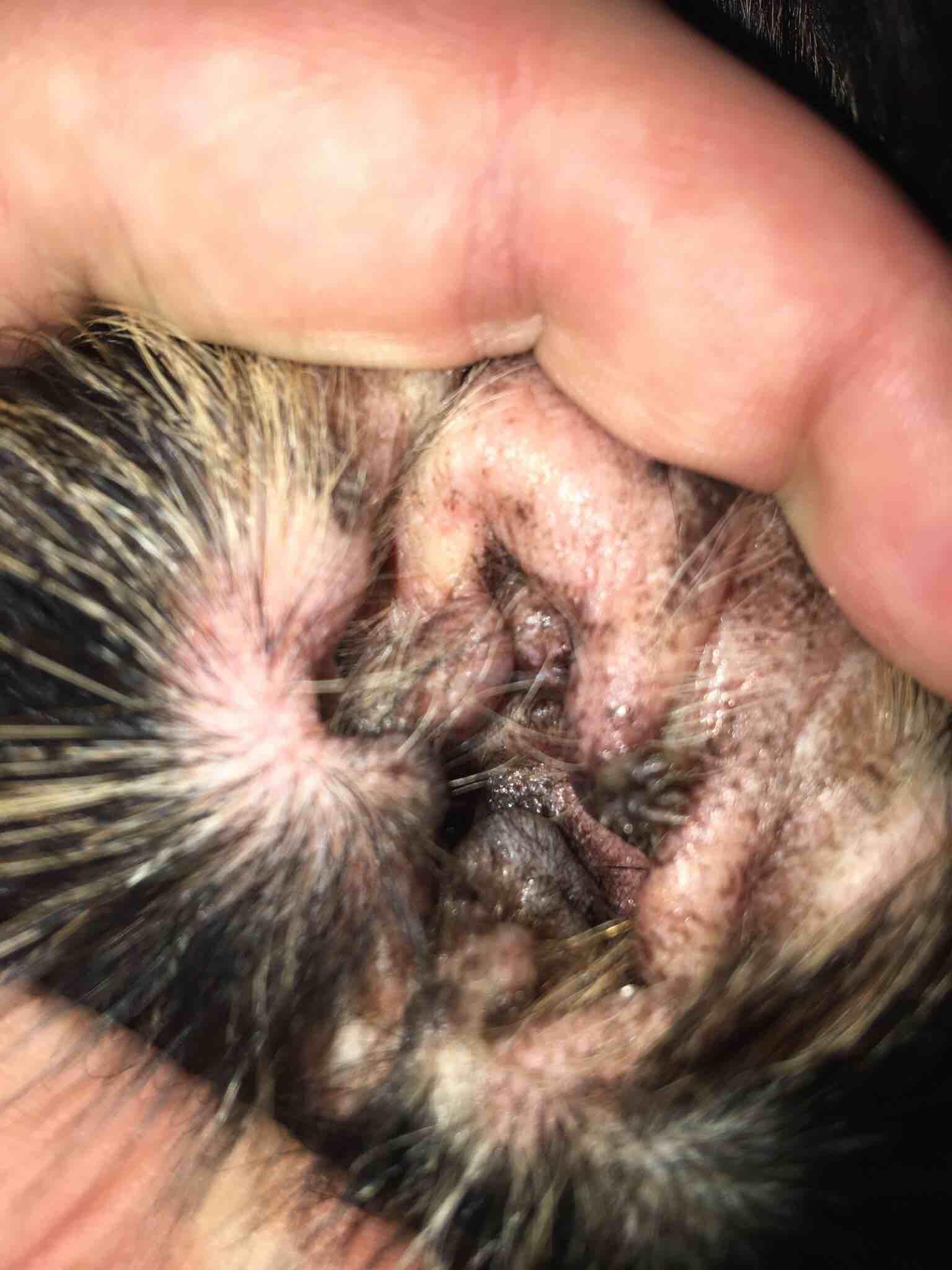 Question details sensitive content