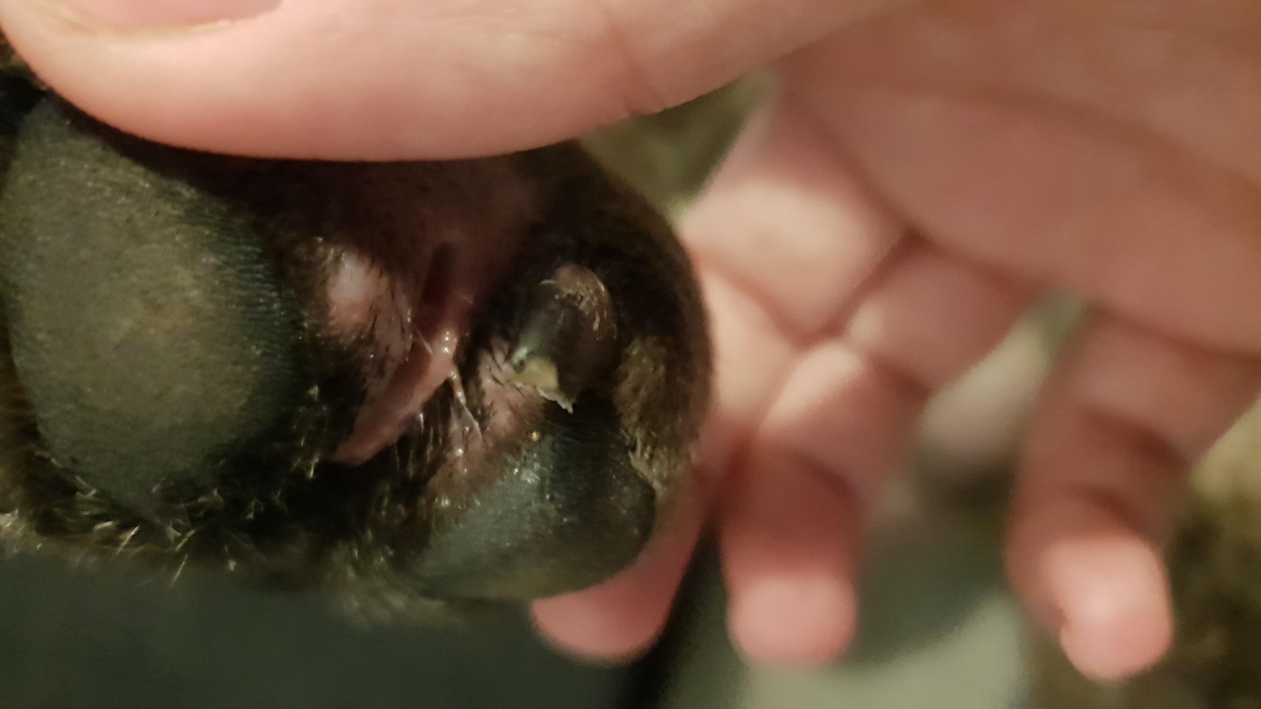 Question details sensitive content