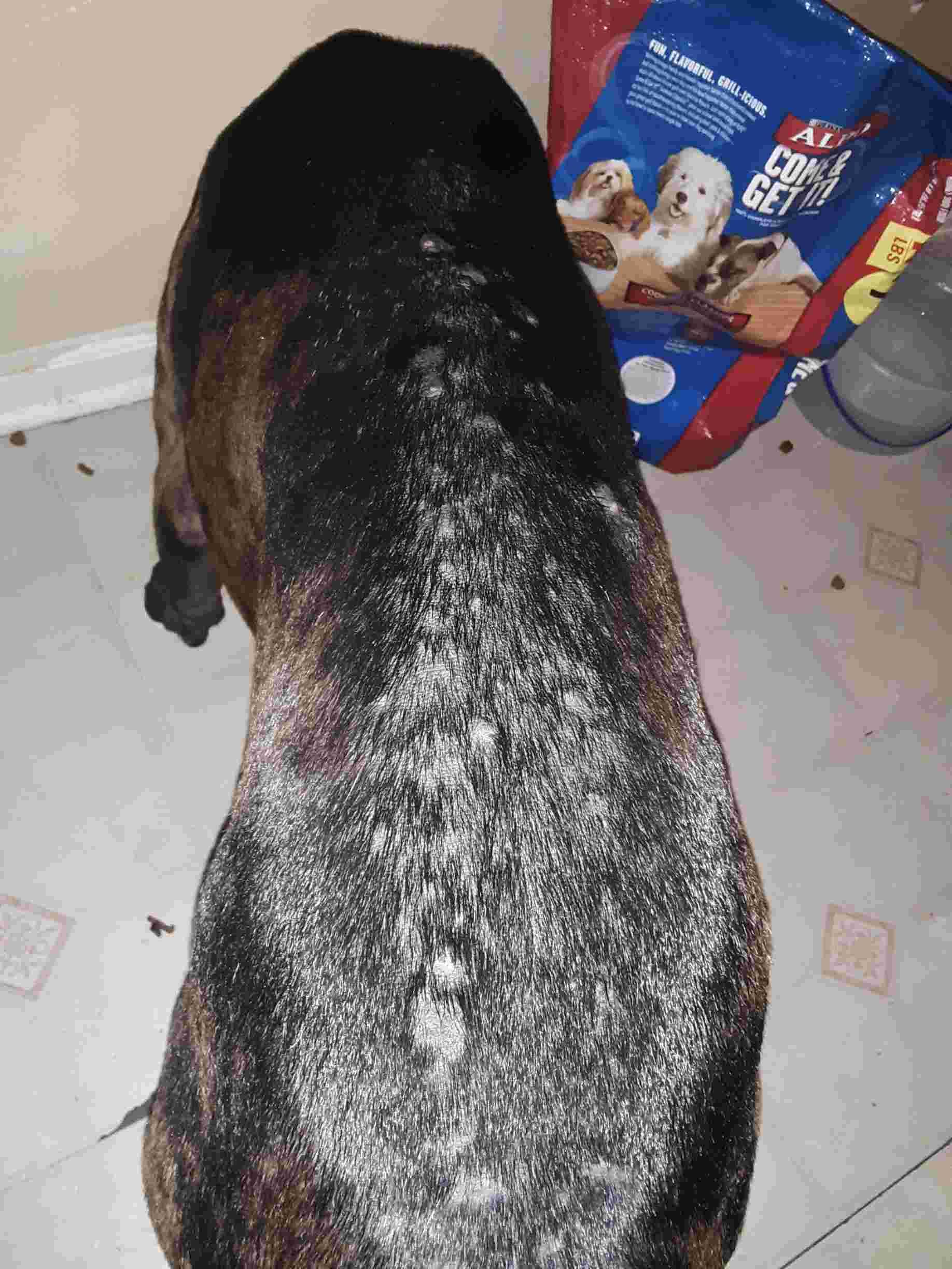 Question details sensitive content