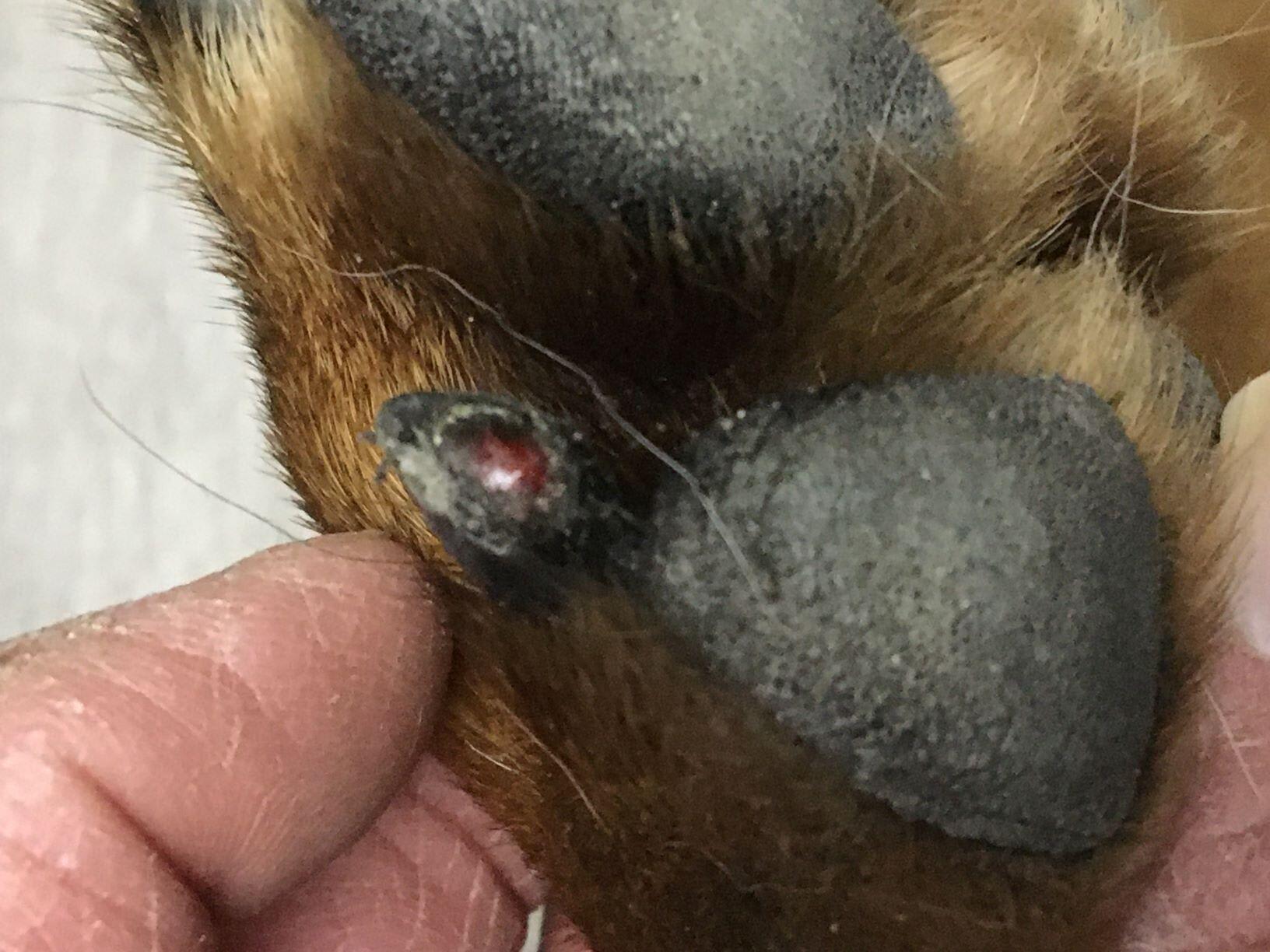 Question details sensitive content