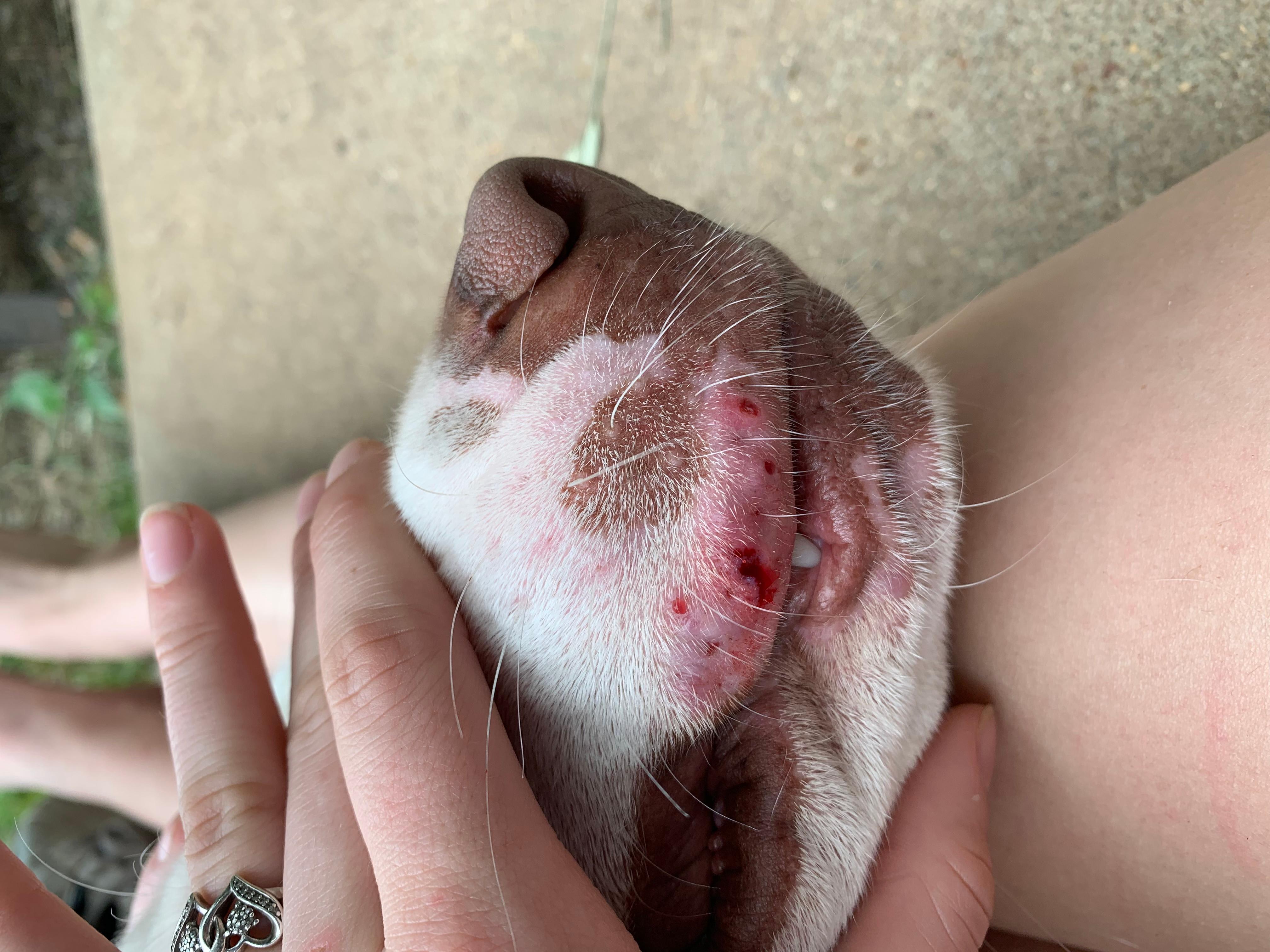 Question details sensitive content