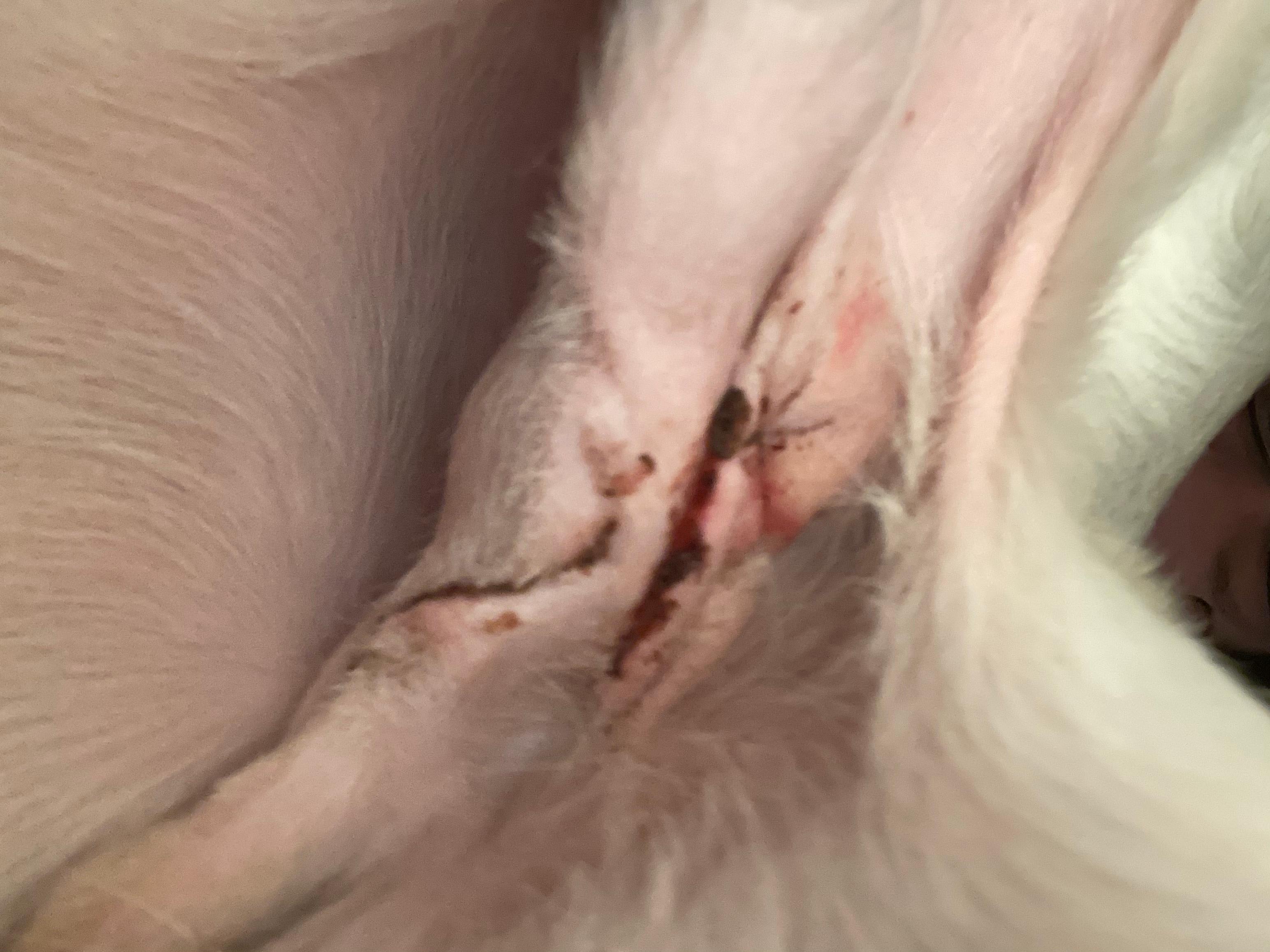 Question details sensitive content