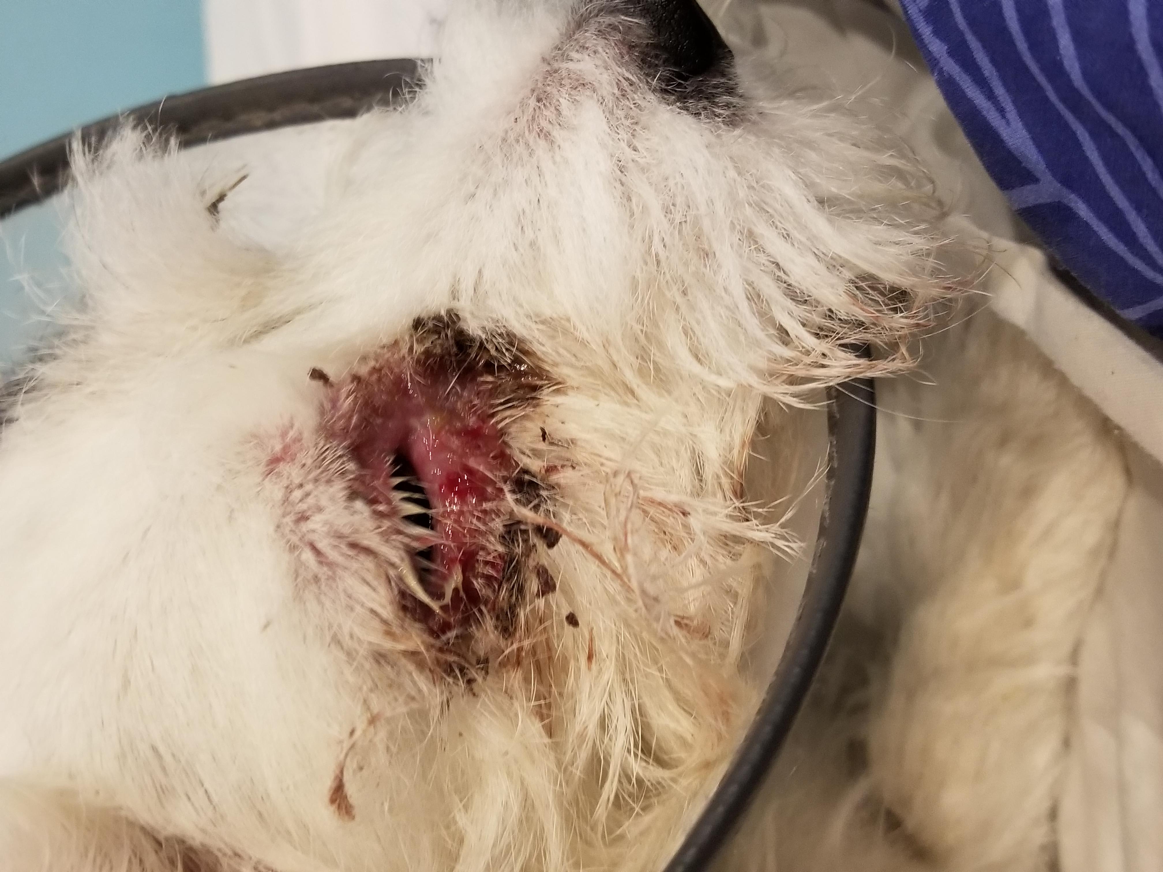 Question details sensitive content