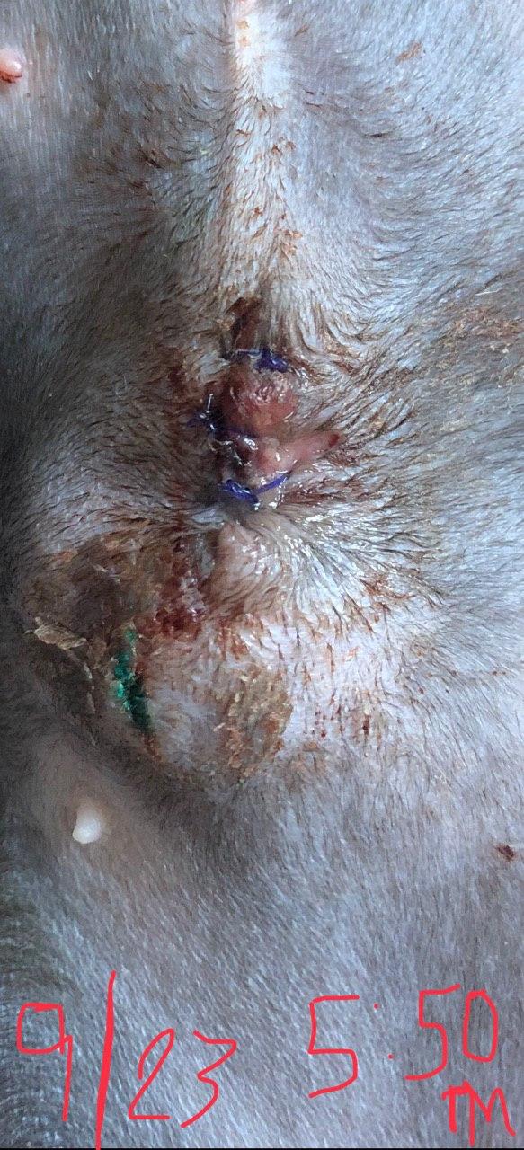 Question details sensitive content