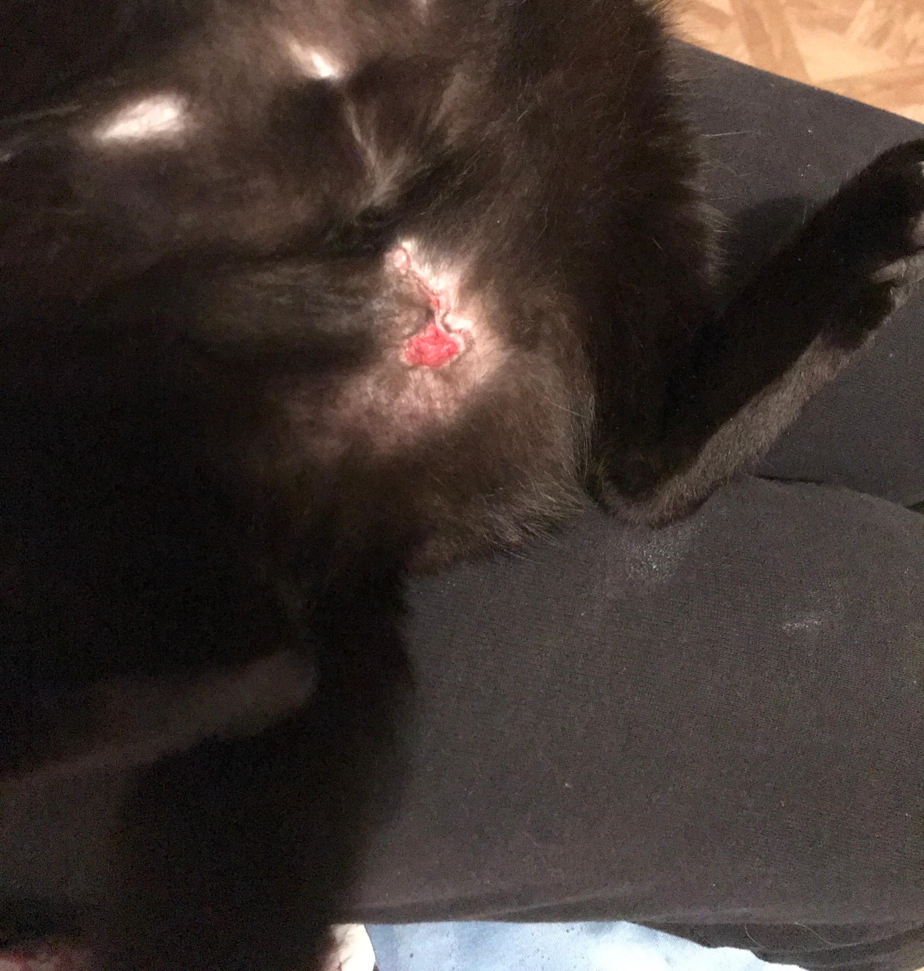 Question details sensitive content