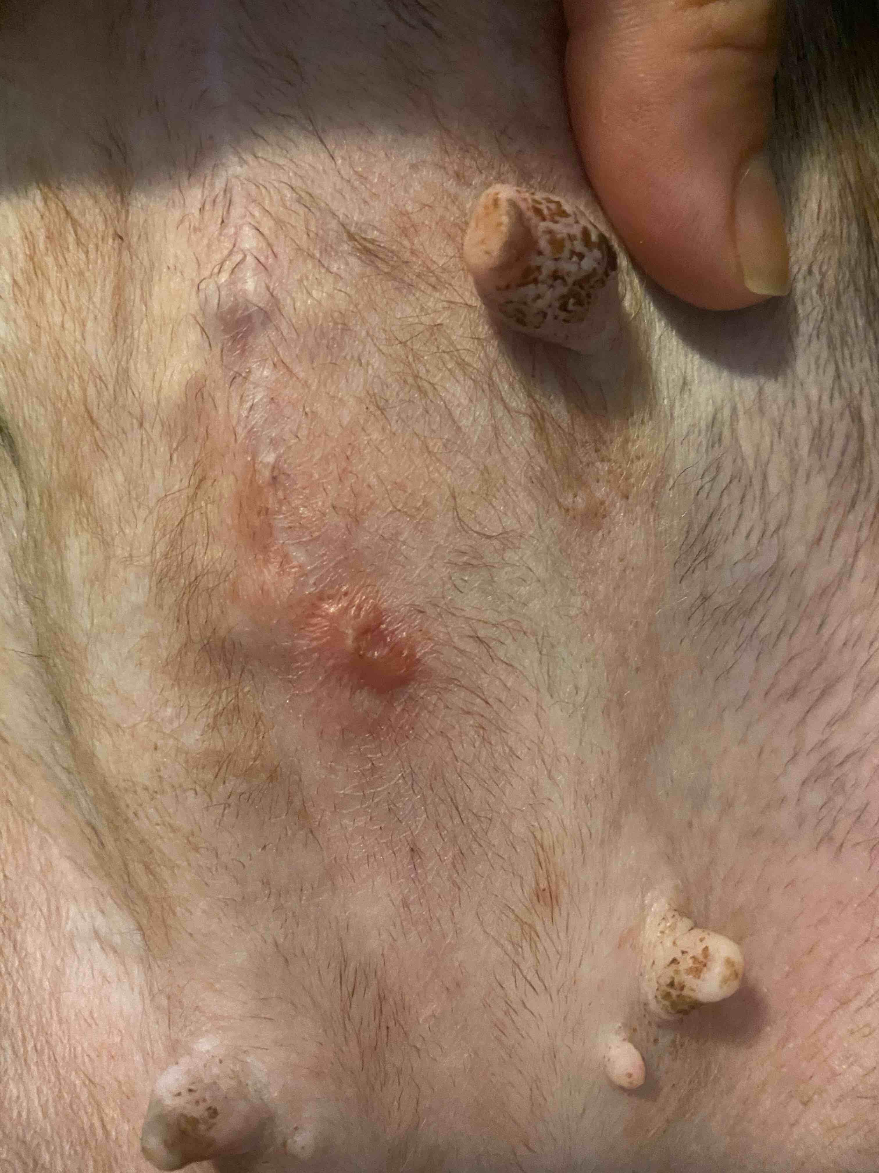 Question details sensitive content