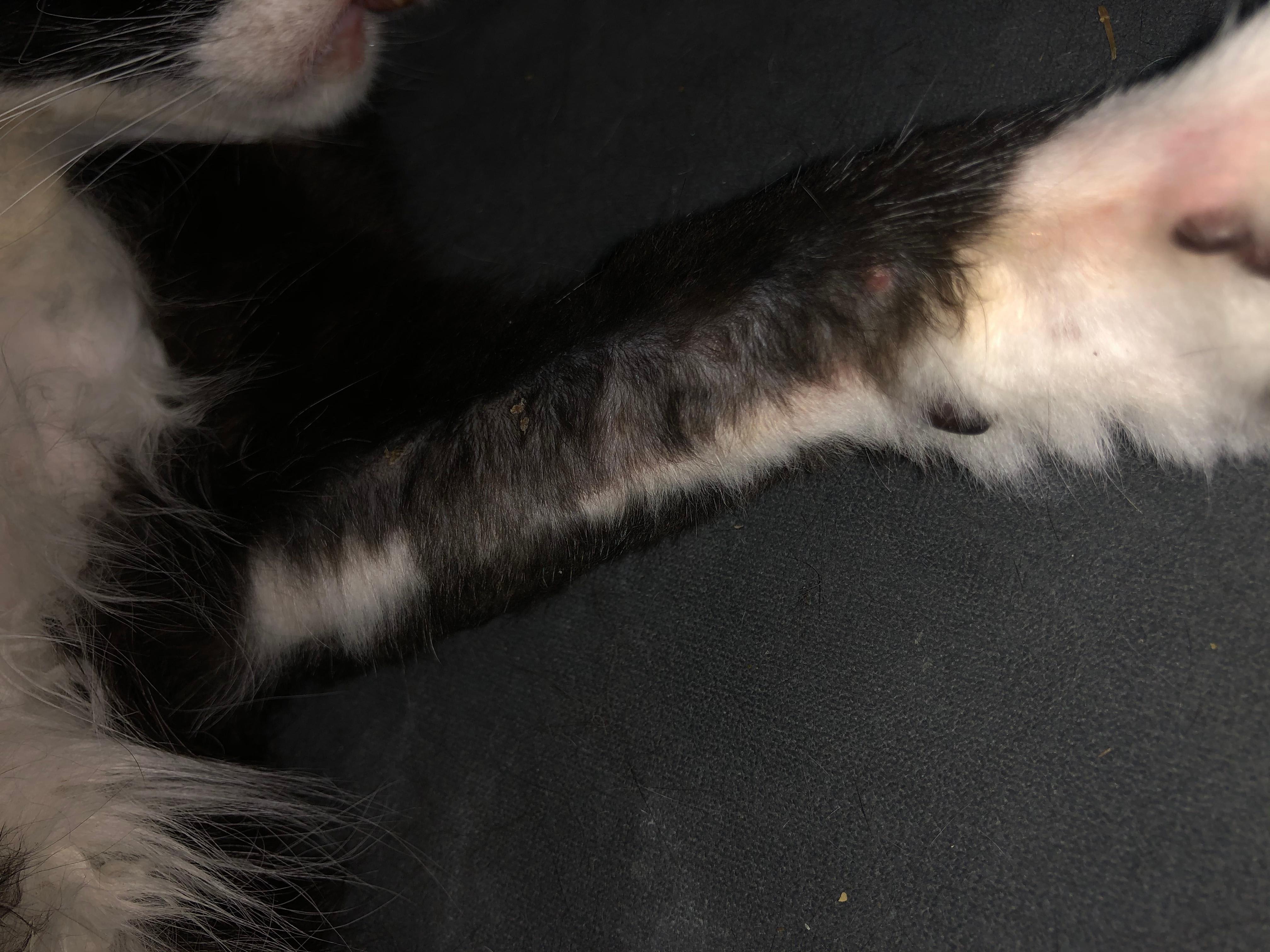 Question details sensitive content