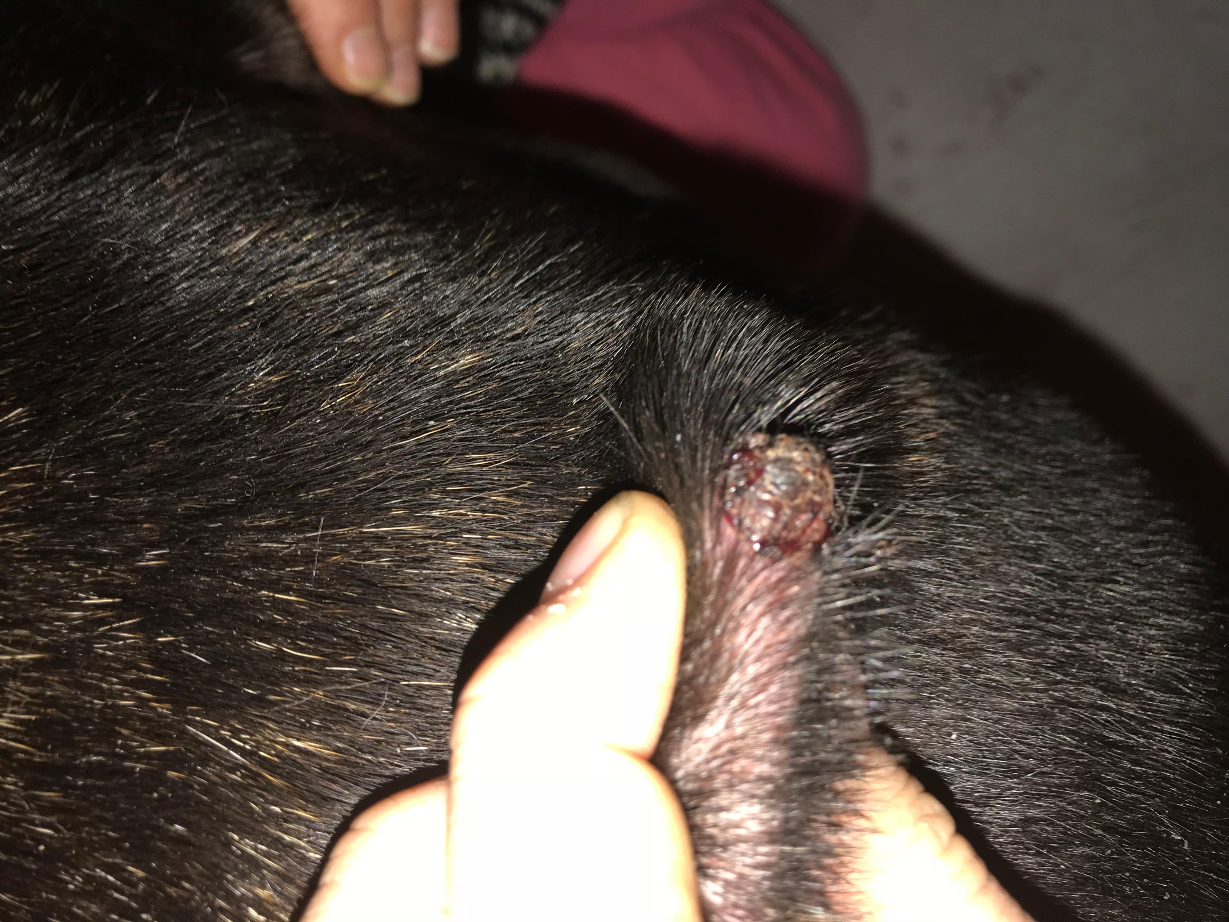 Question details sensitive content