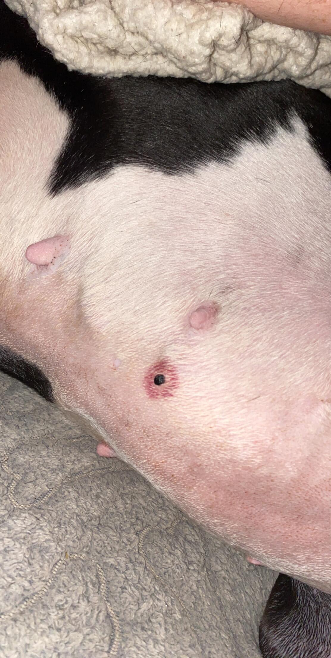 Question details sensitive content