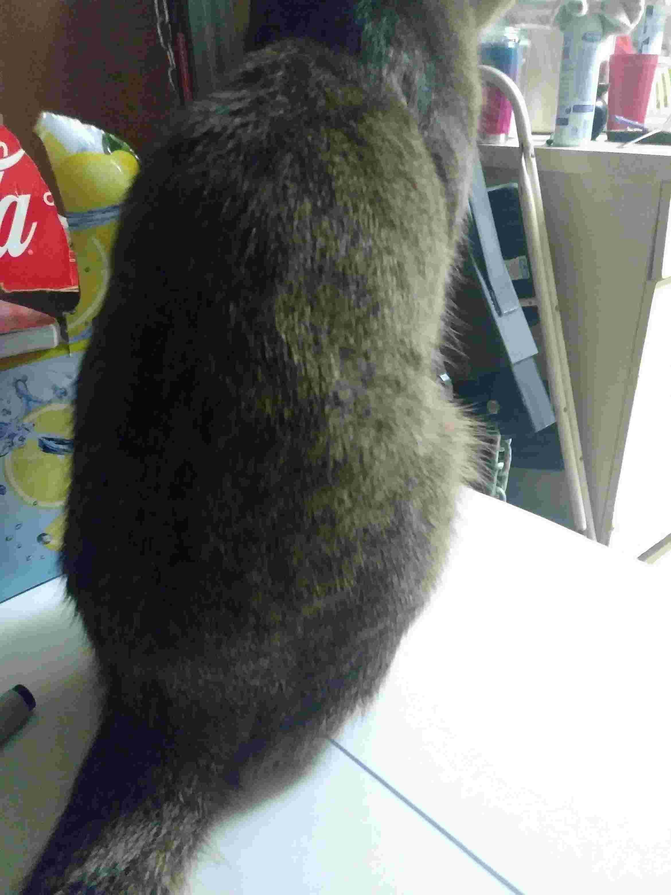 Question details sensitive content