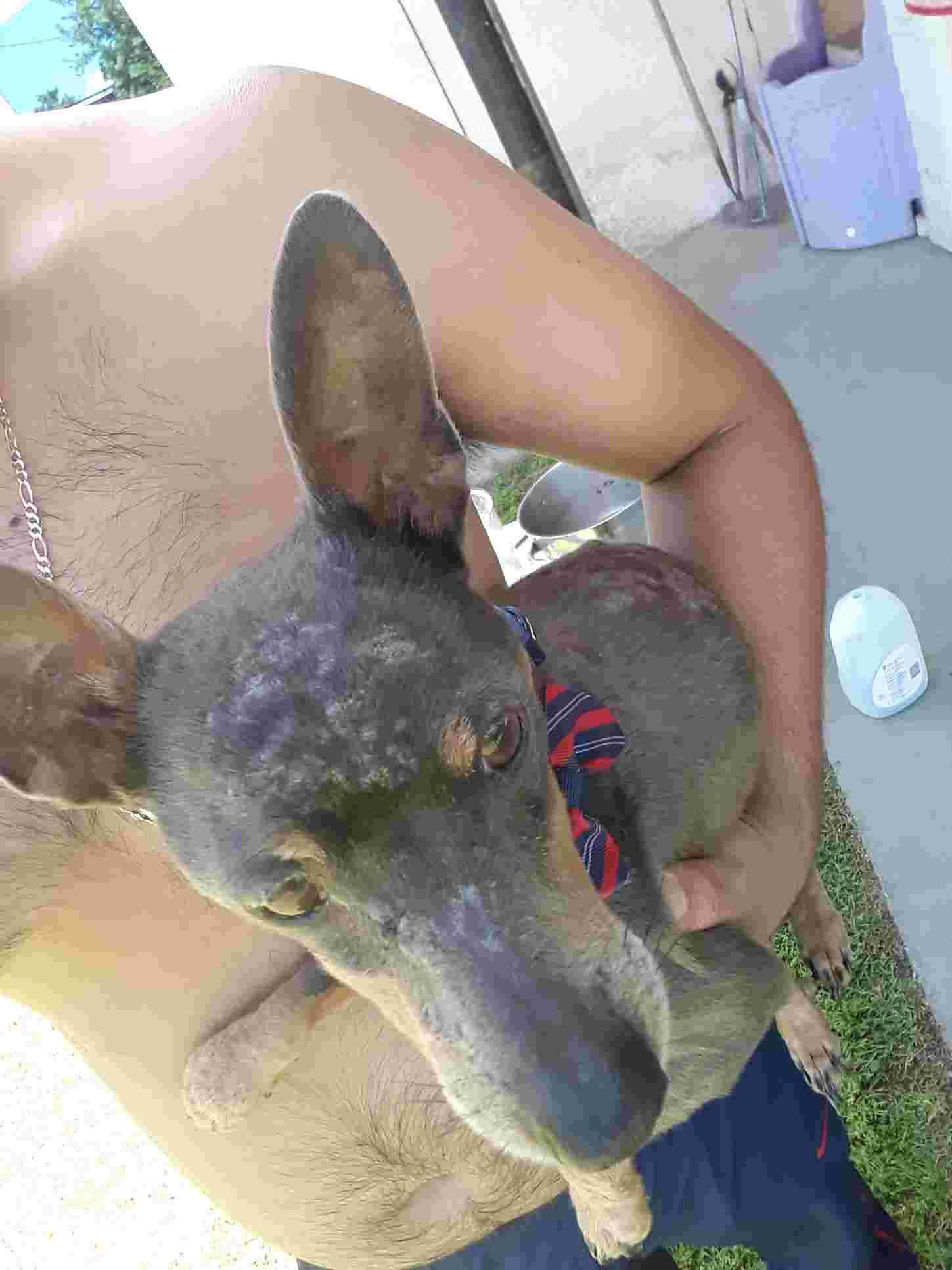 Question details sensitive content