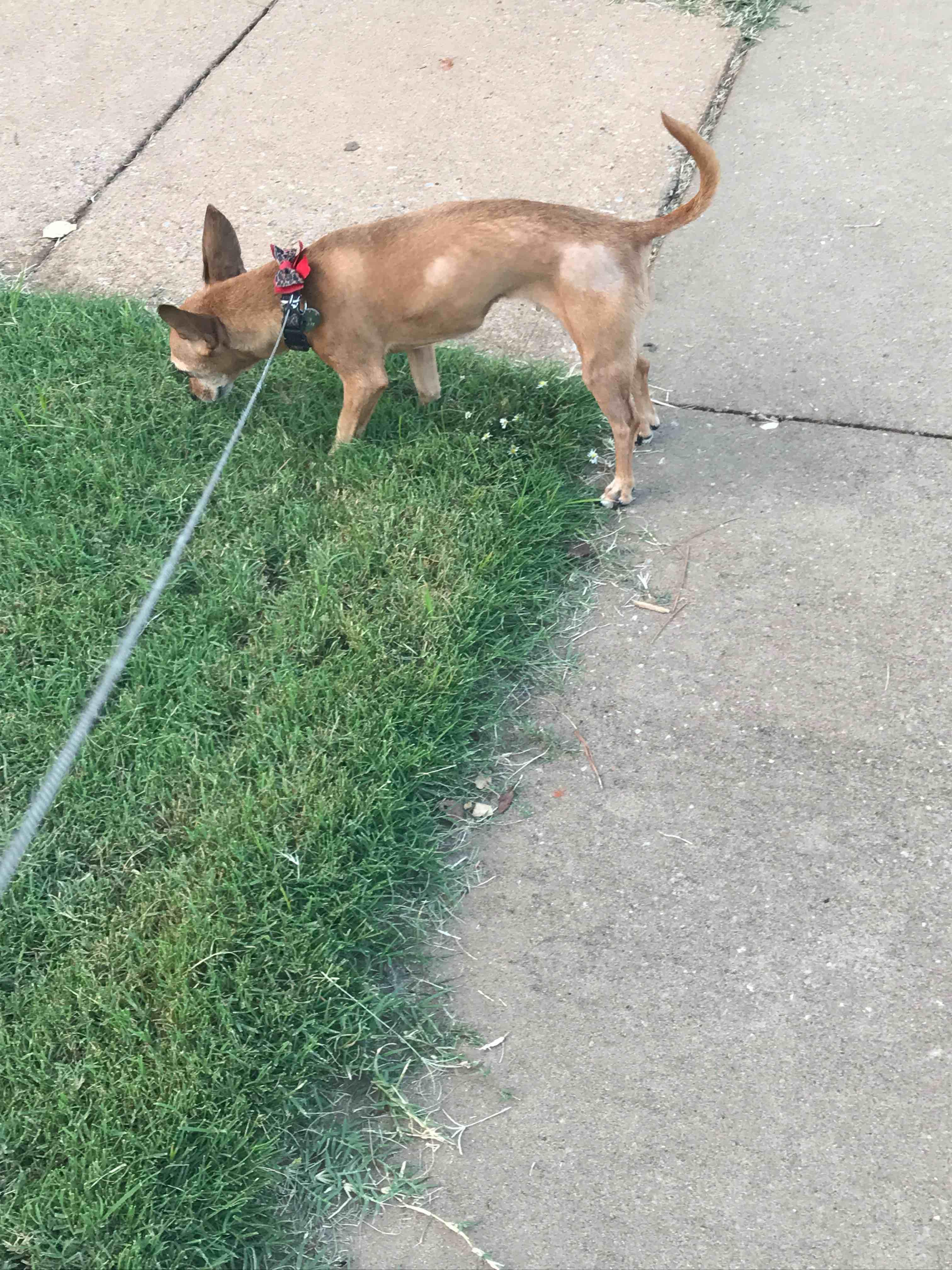 Question details sensitive content