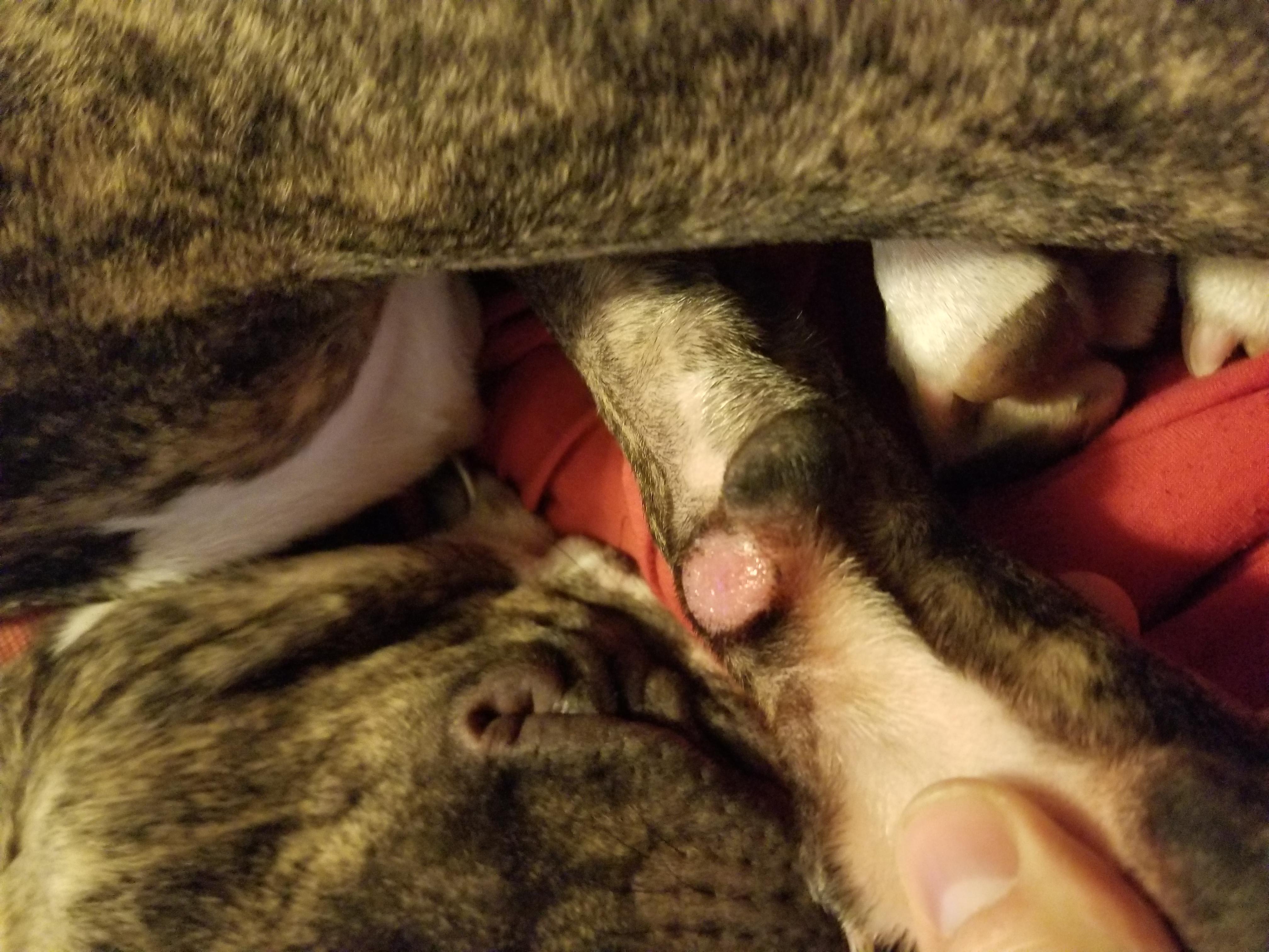 Question details sensitive content