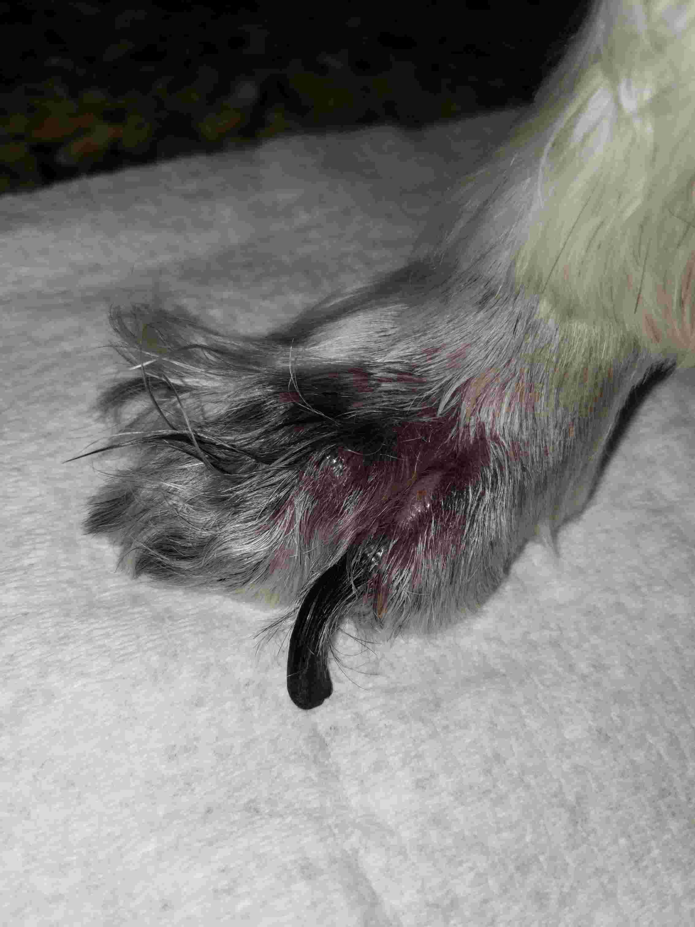 Question details sensitive content