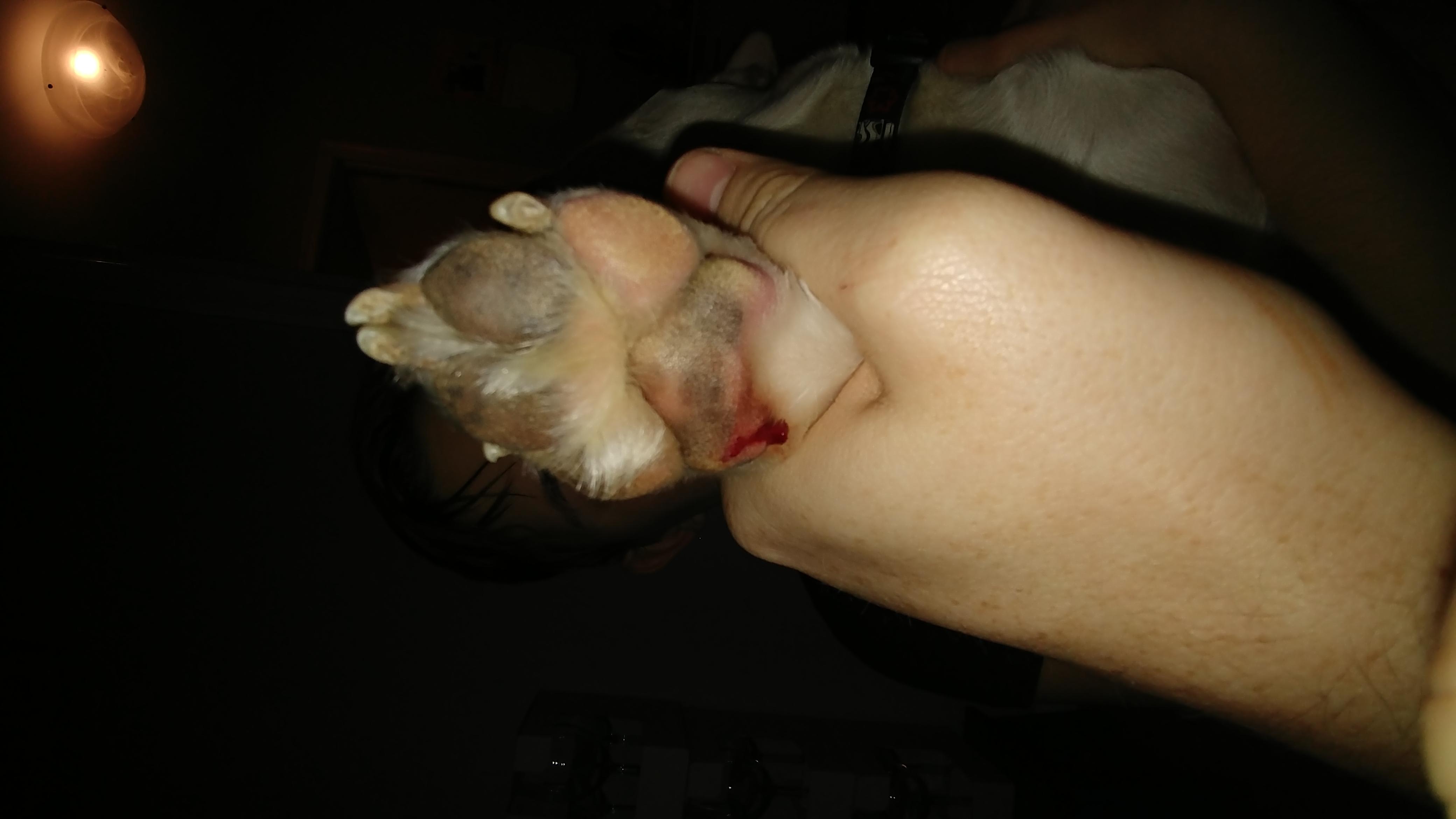 Question details sensitive content