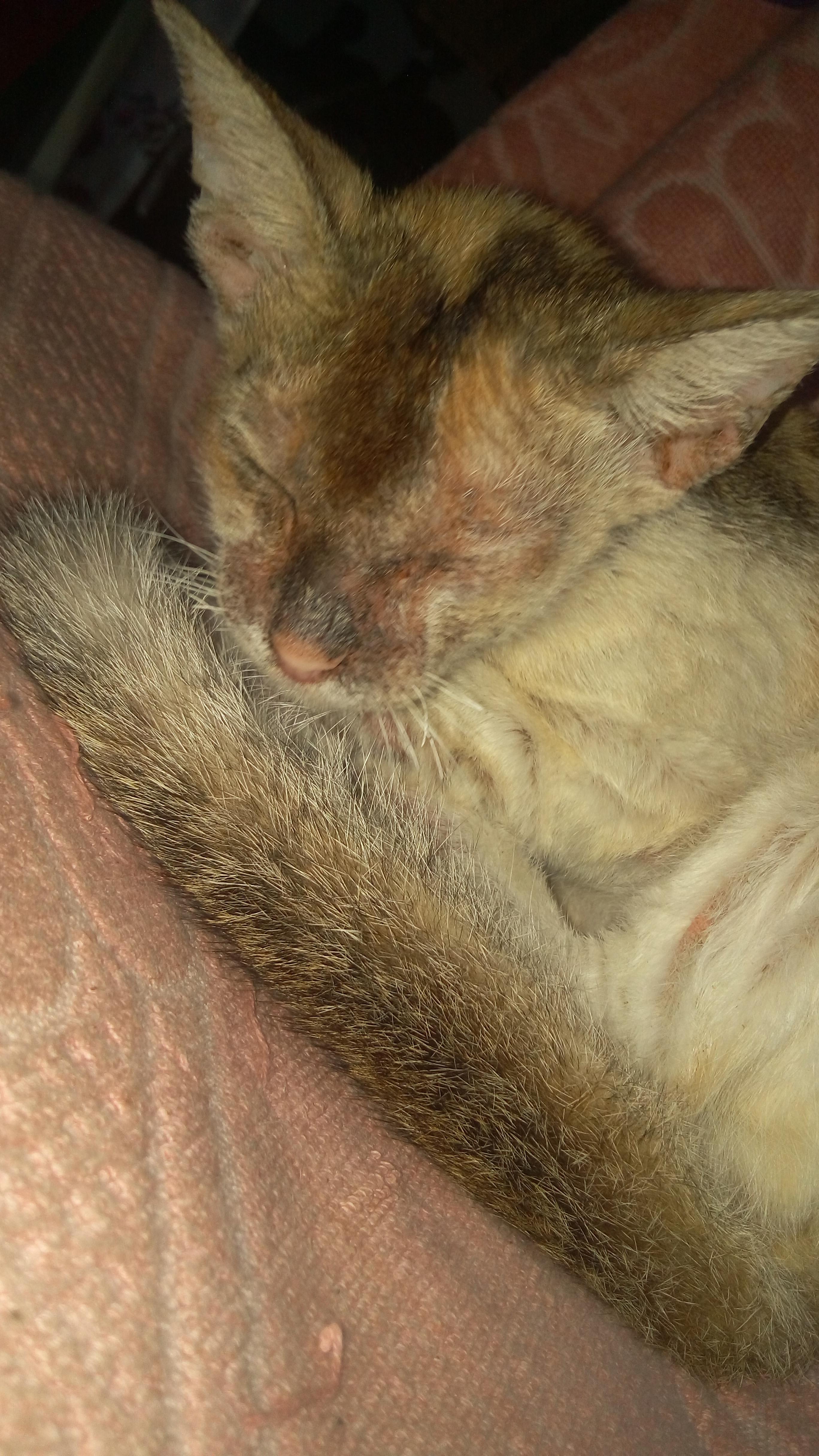 Question details sensitive content