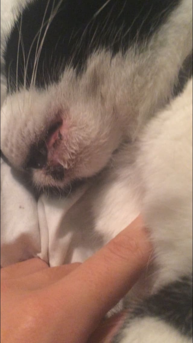 Question details sensitive content