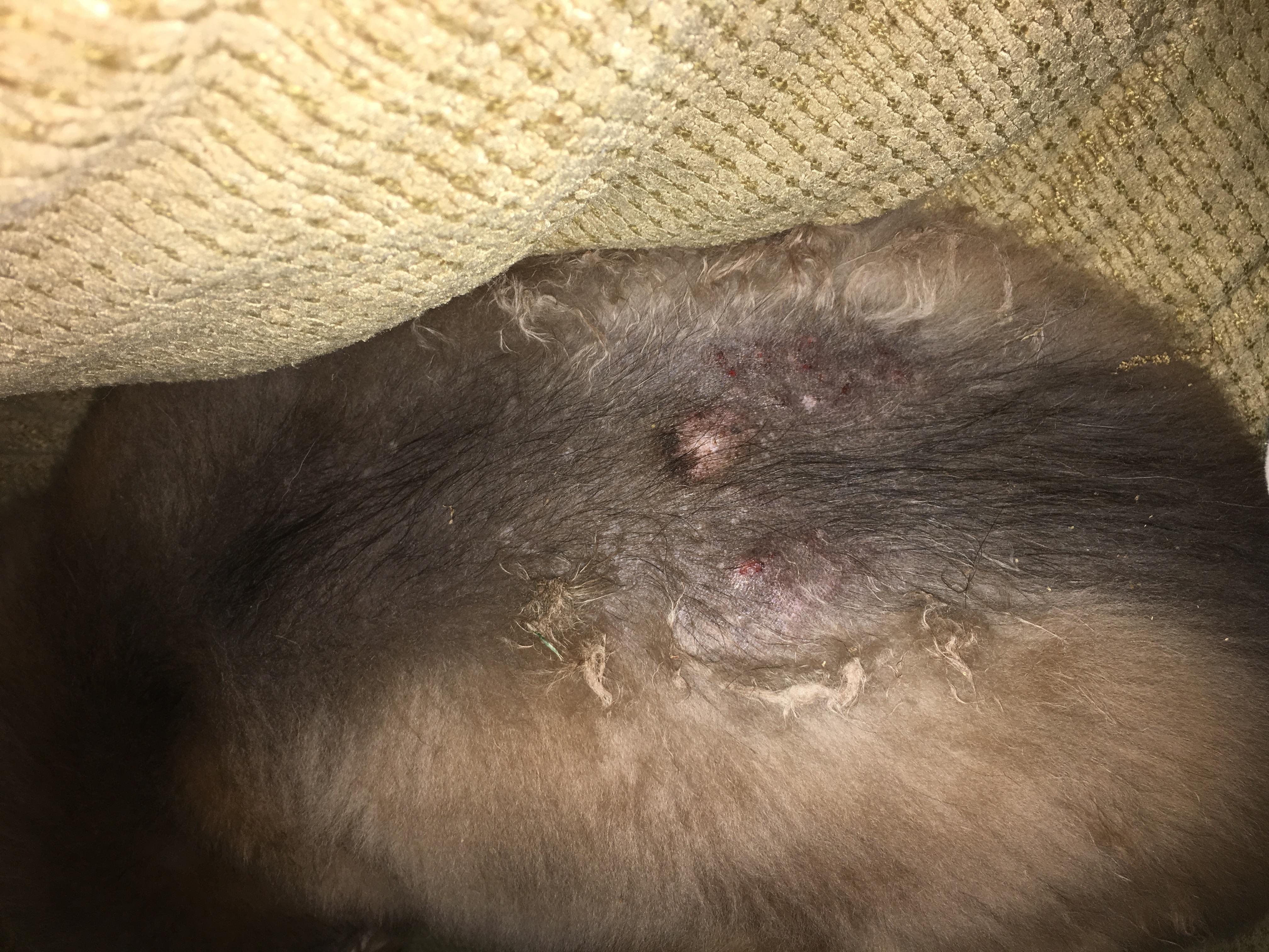 Question details sensitive content