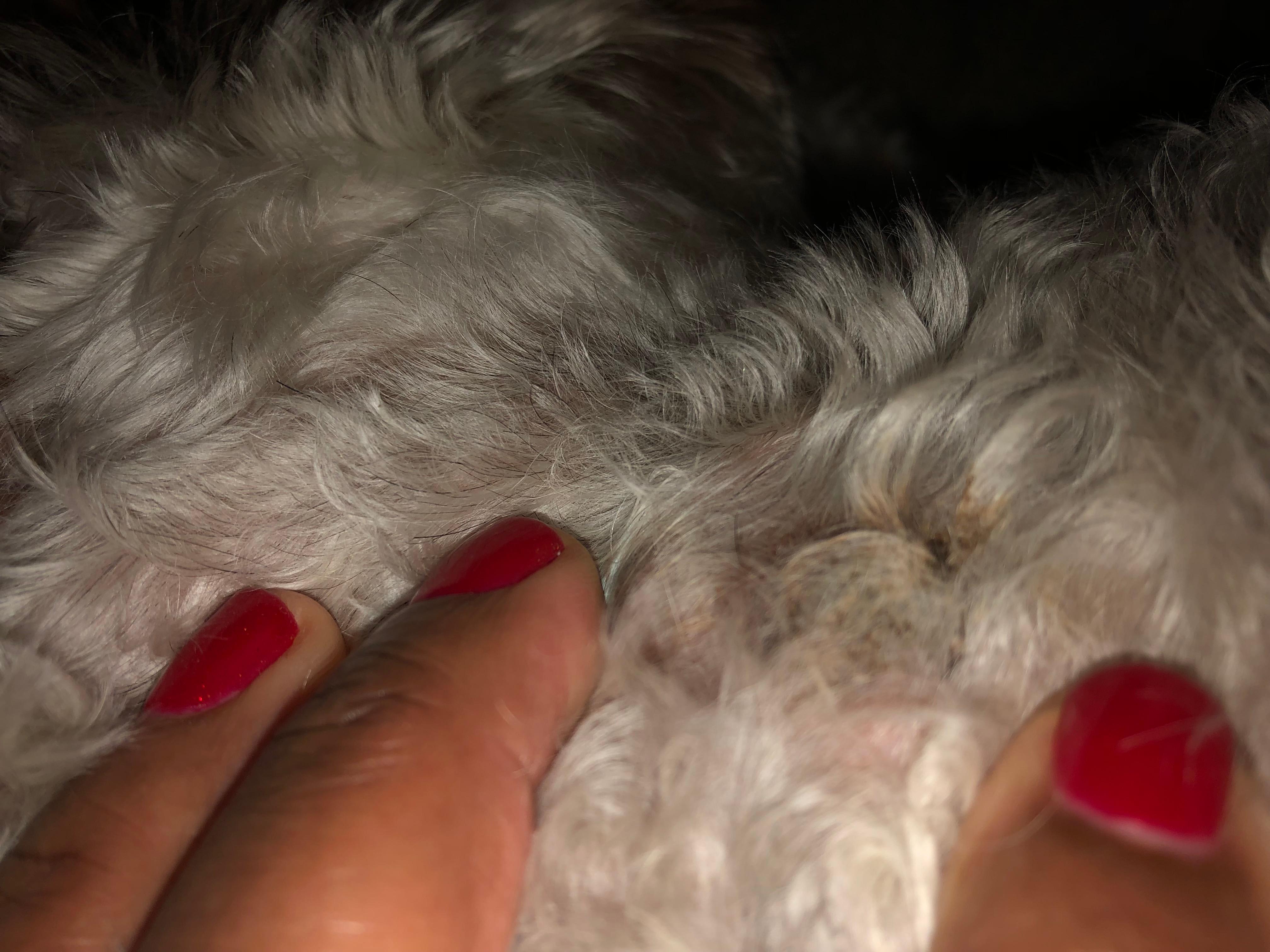 Question details sensitive content