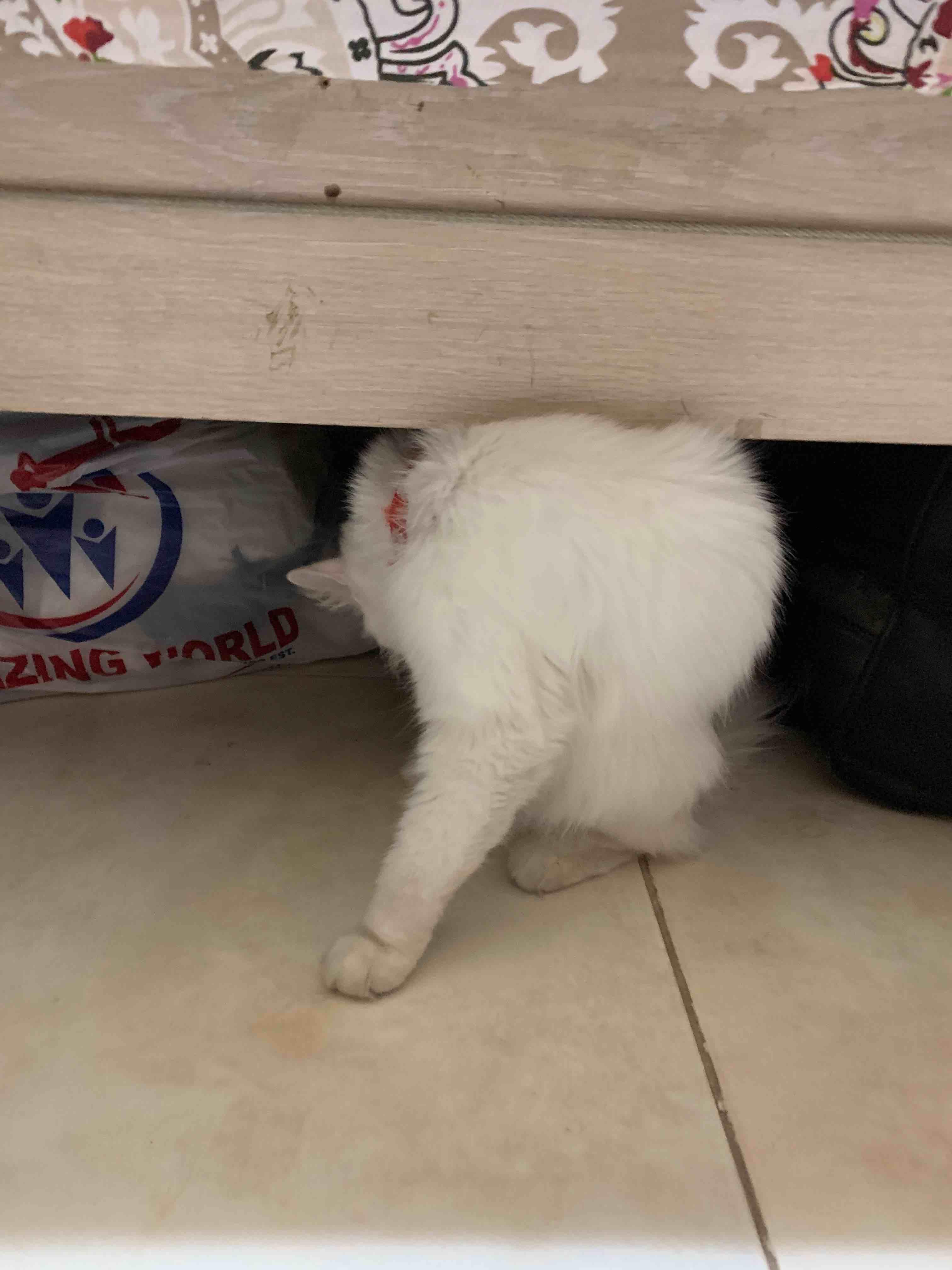 Question details sensitive content