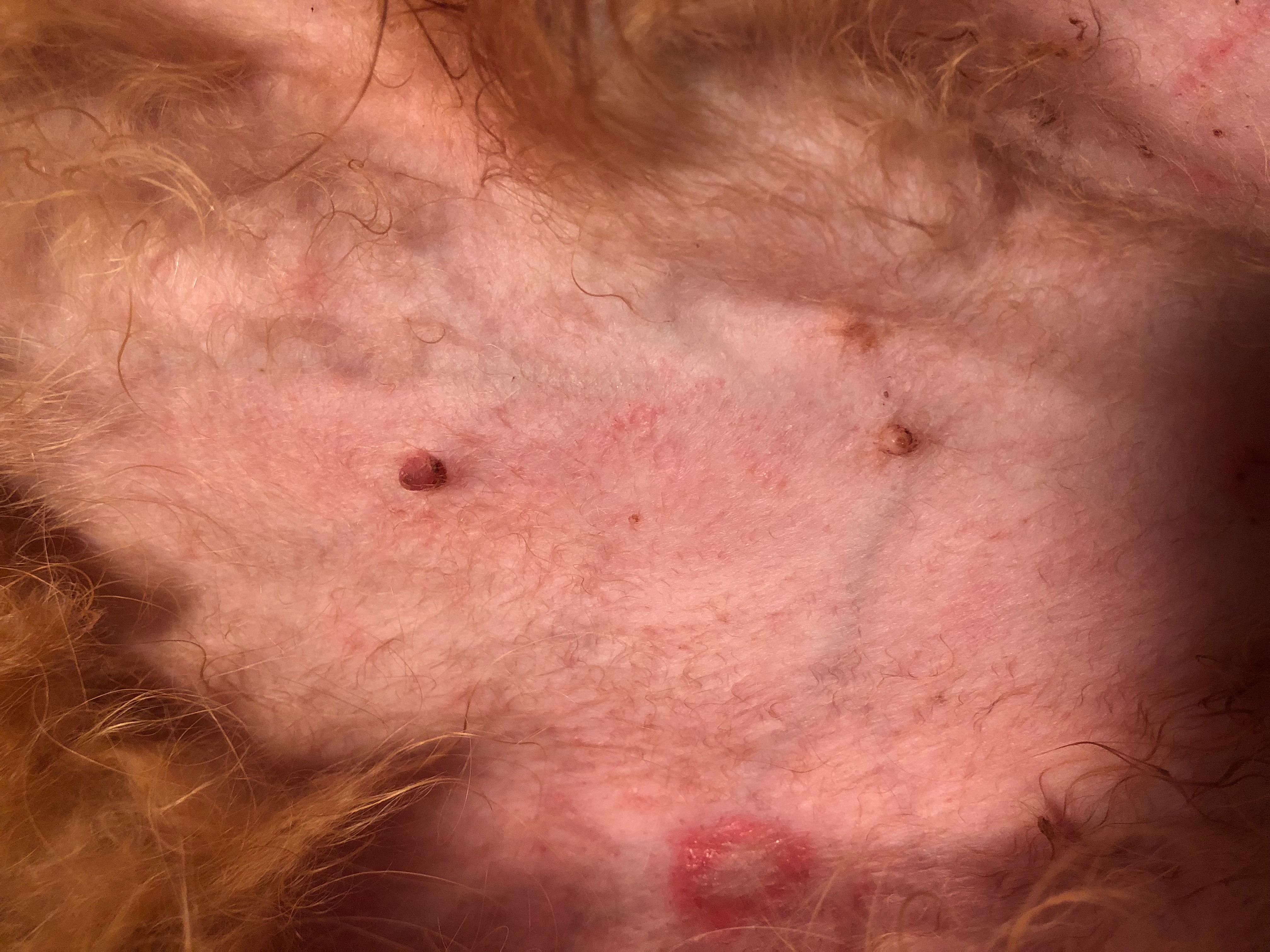 Question details sensitive content