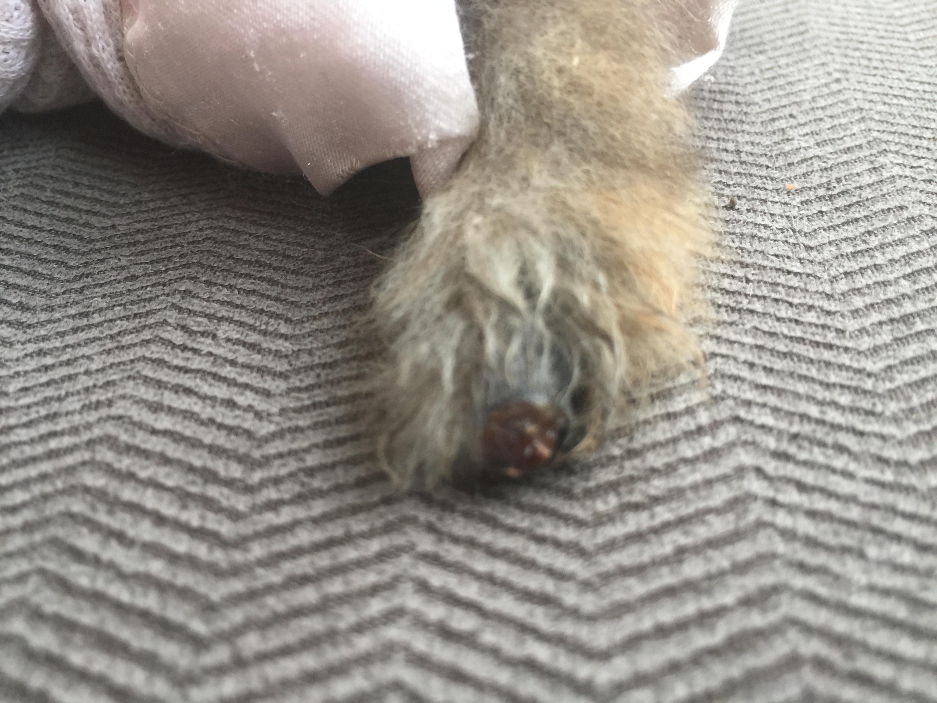 Question details sensitive content