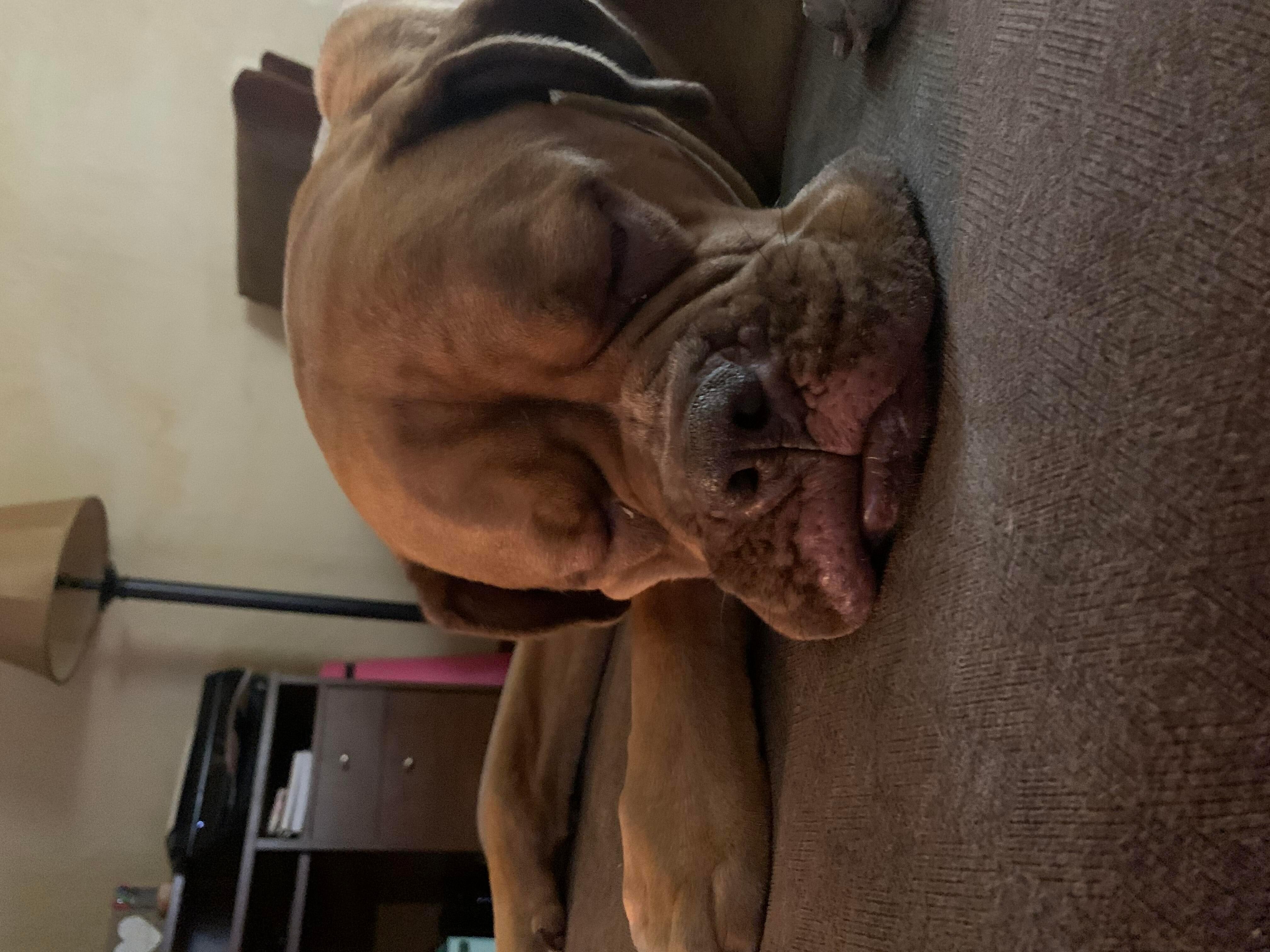 Question details sensitive content