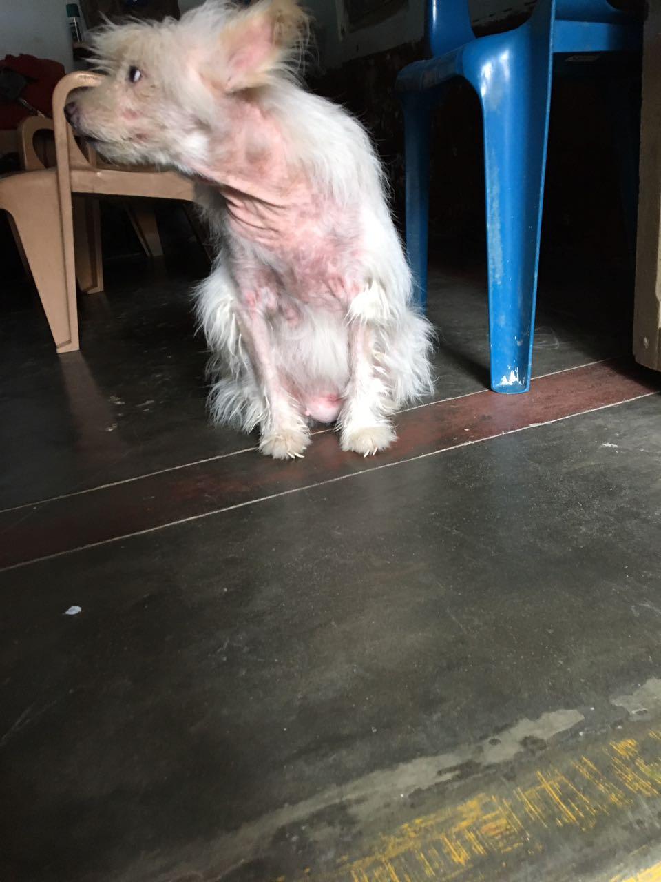 Question details sensitive content