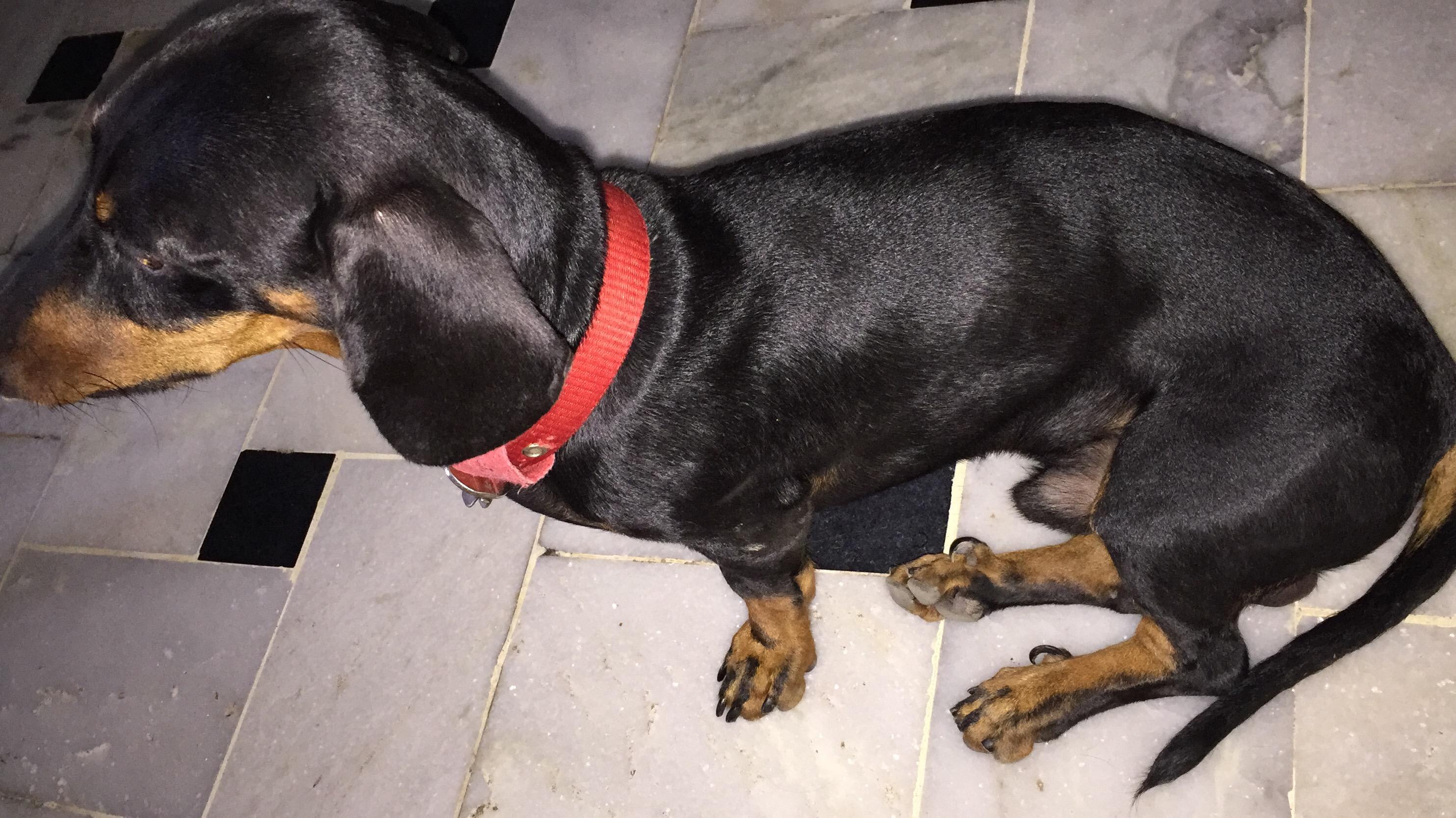 Question details sensitive content