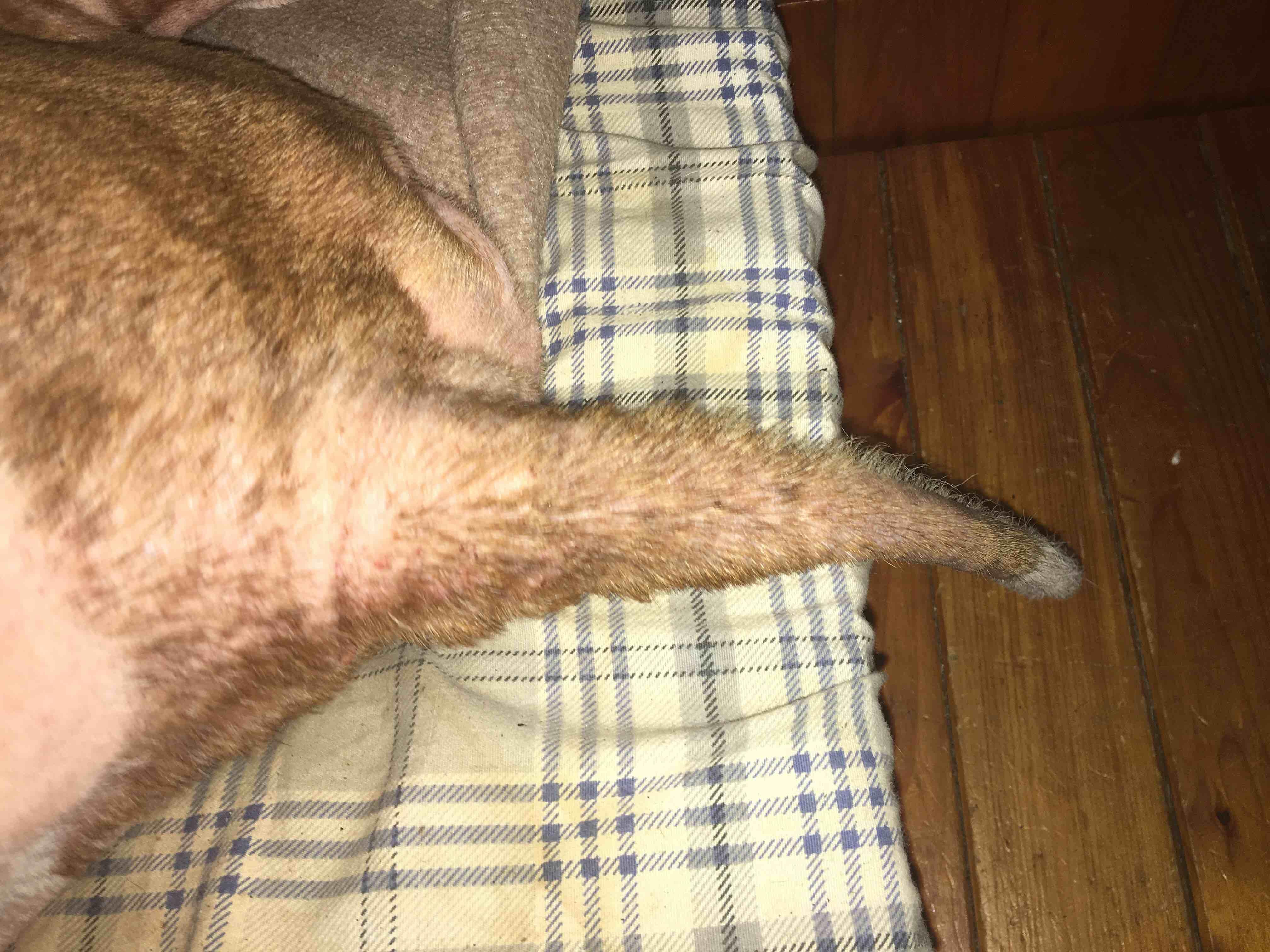 Question details sensitive content