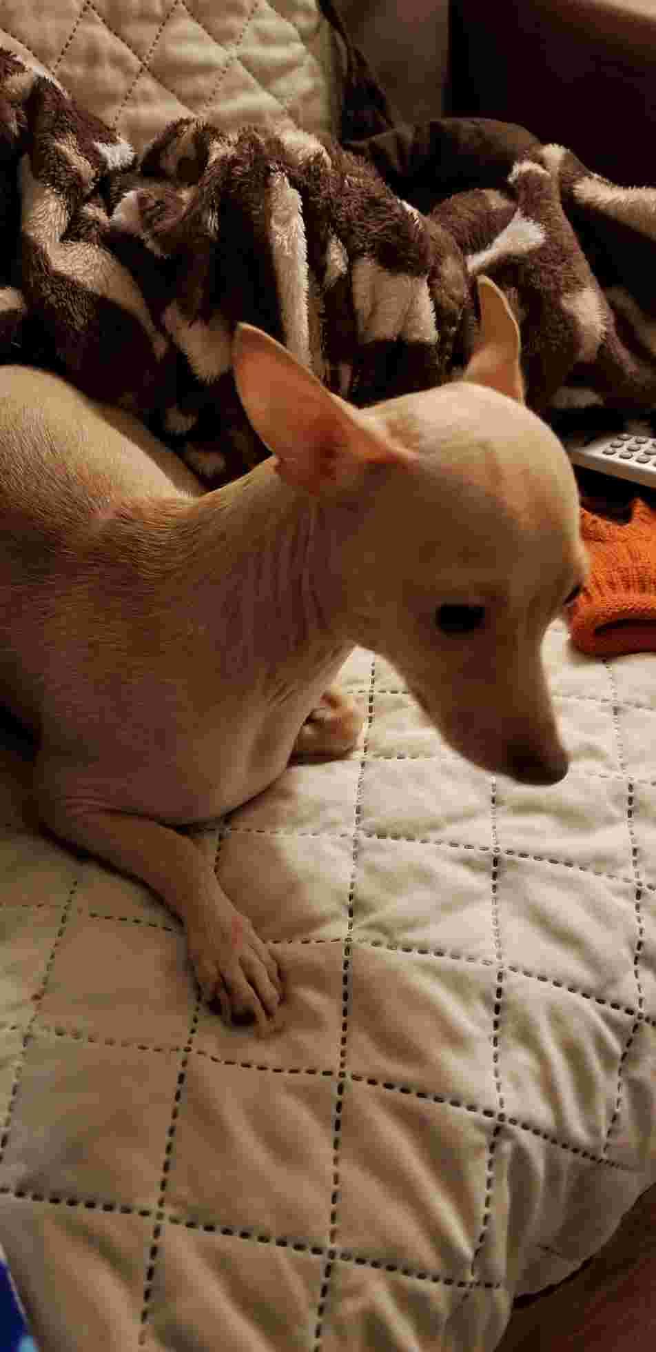 Question details sensitive content