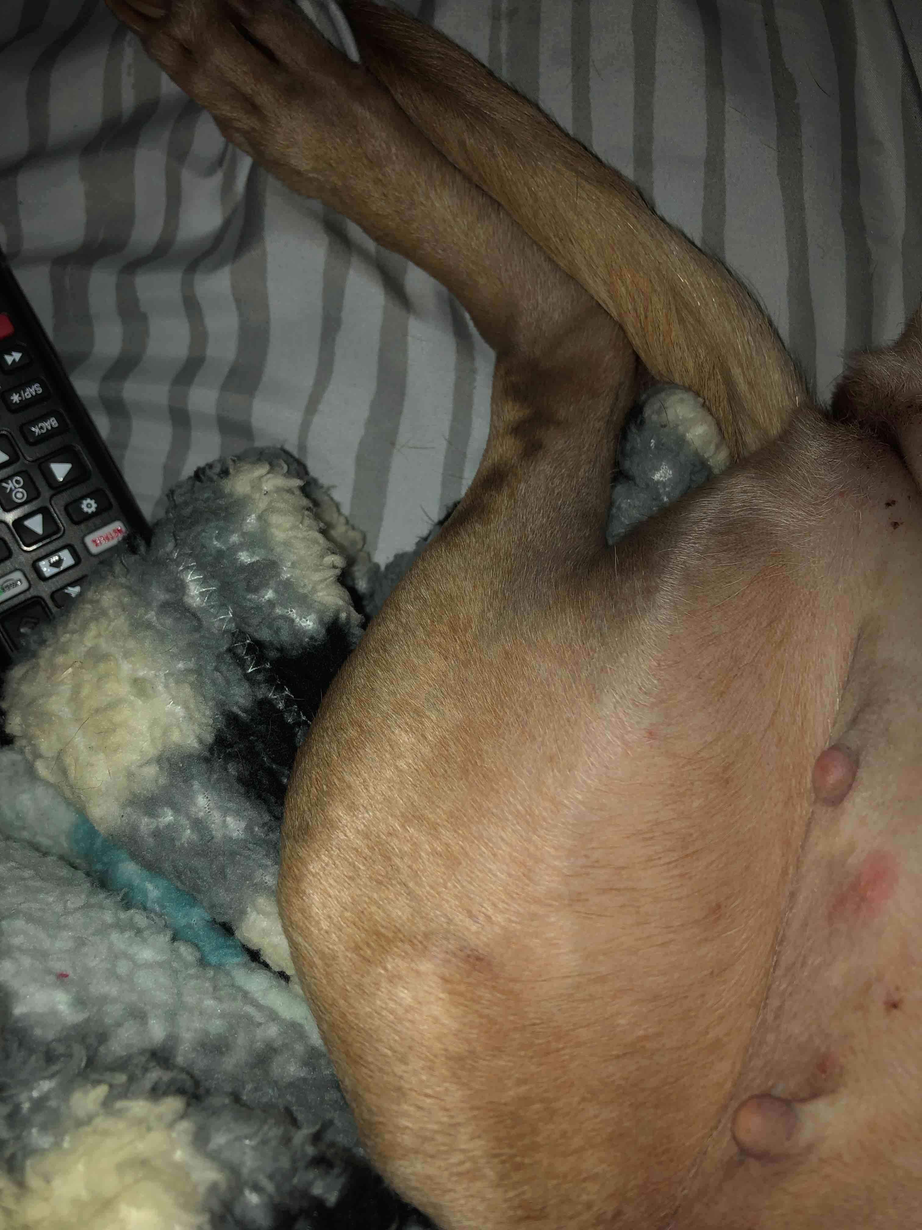 Question details sensitive content