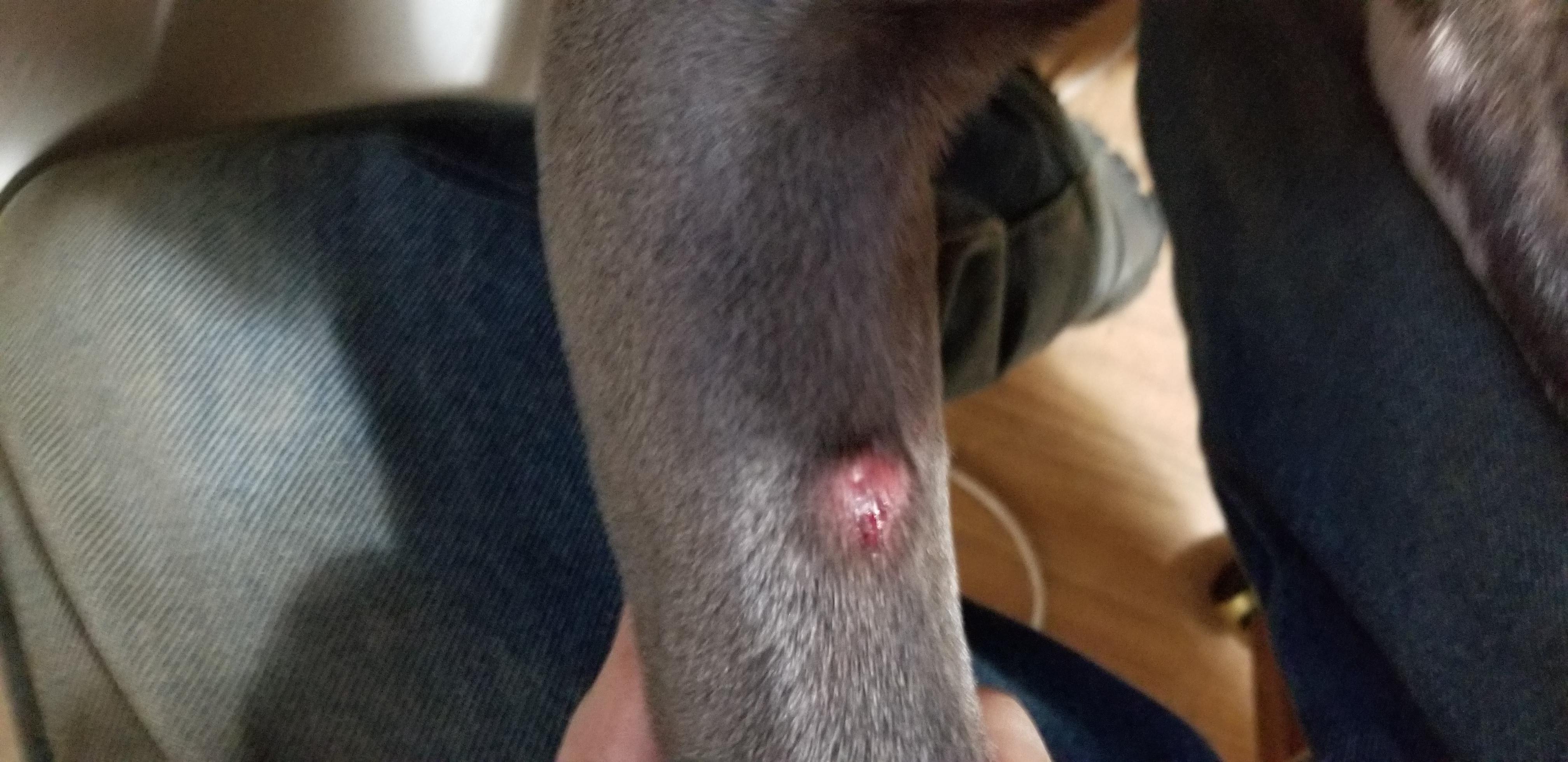 Question details sensitive content