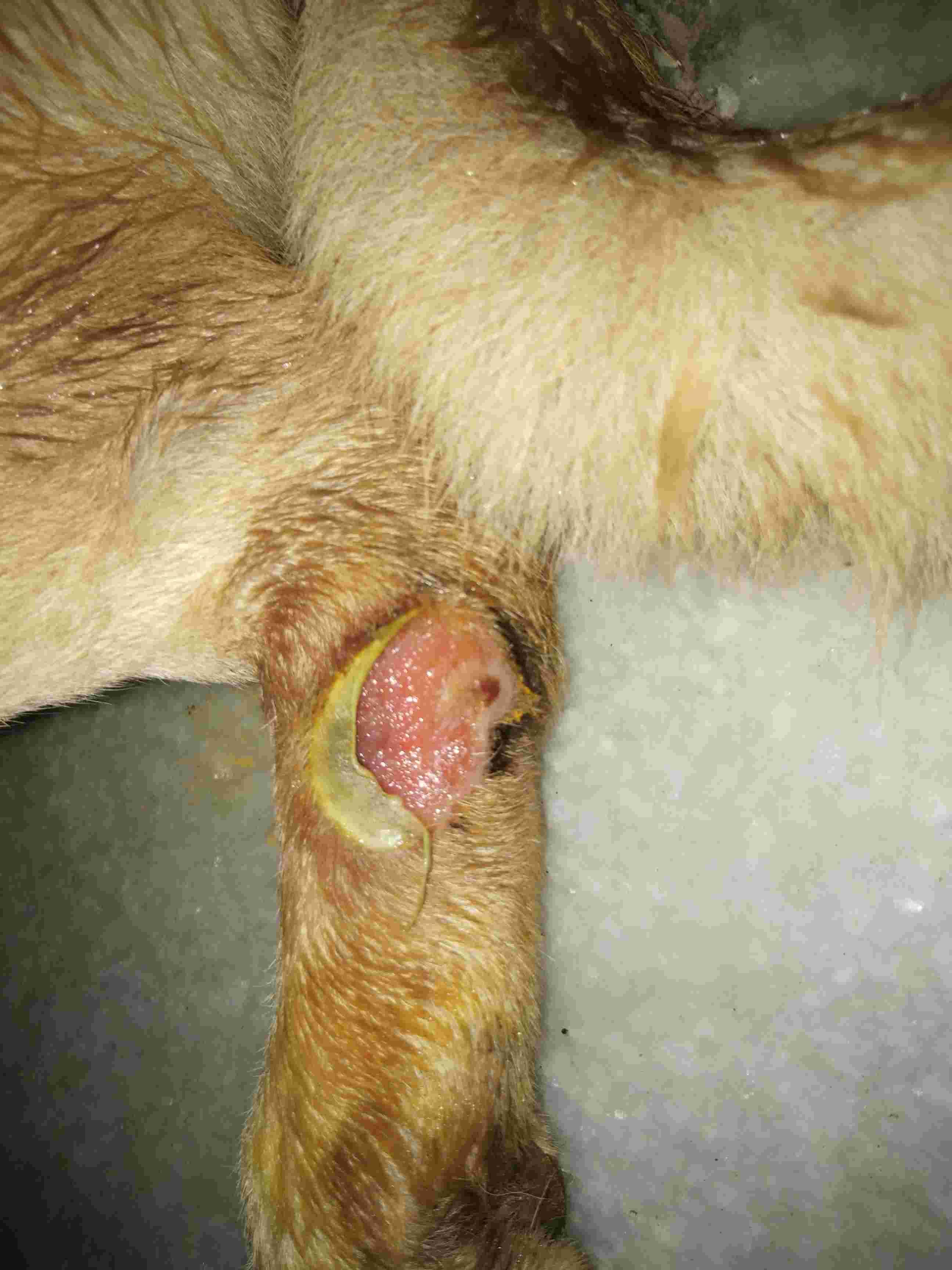 Question details sensitive content