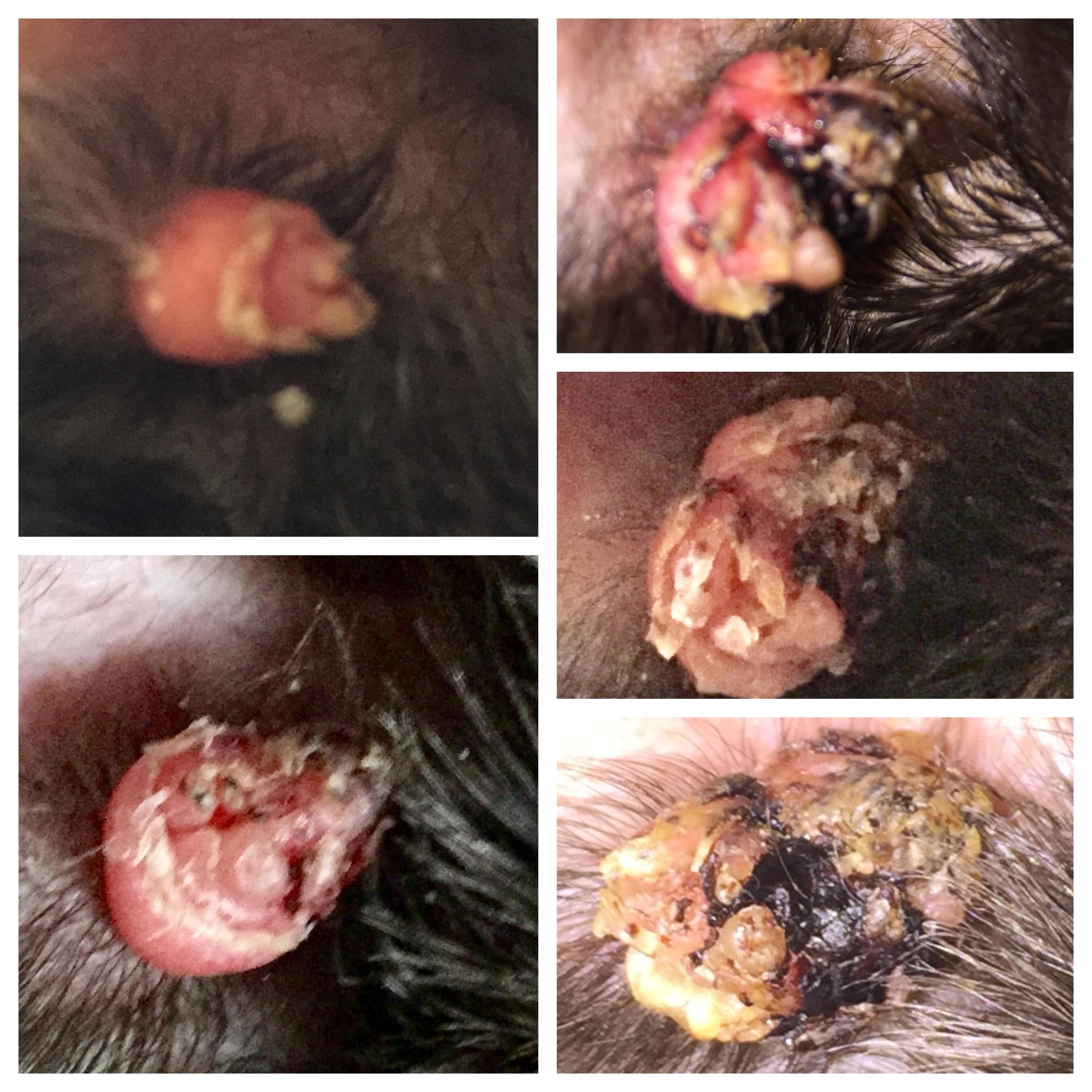 Question details sensitive content