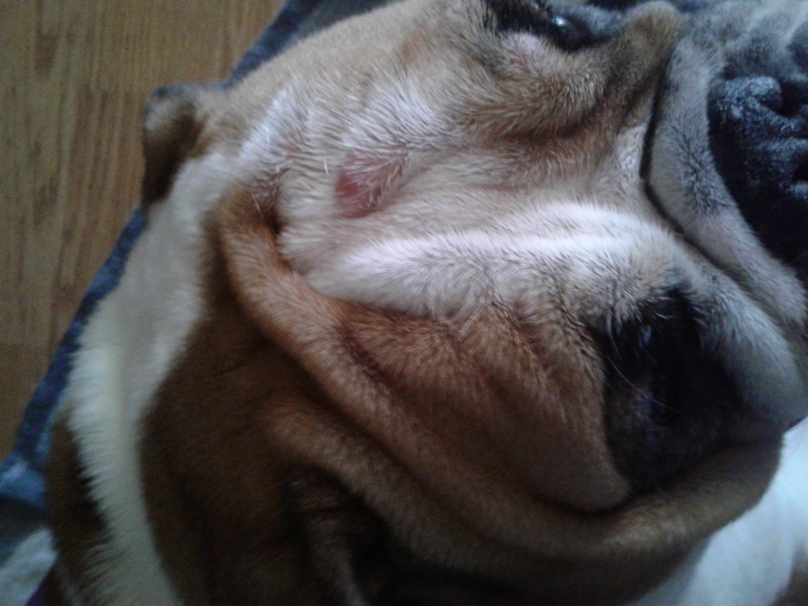 Question details sensitive content