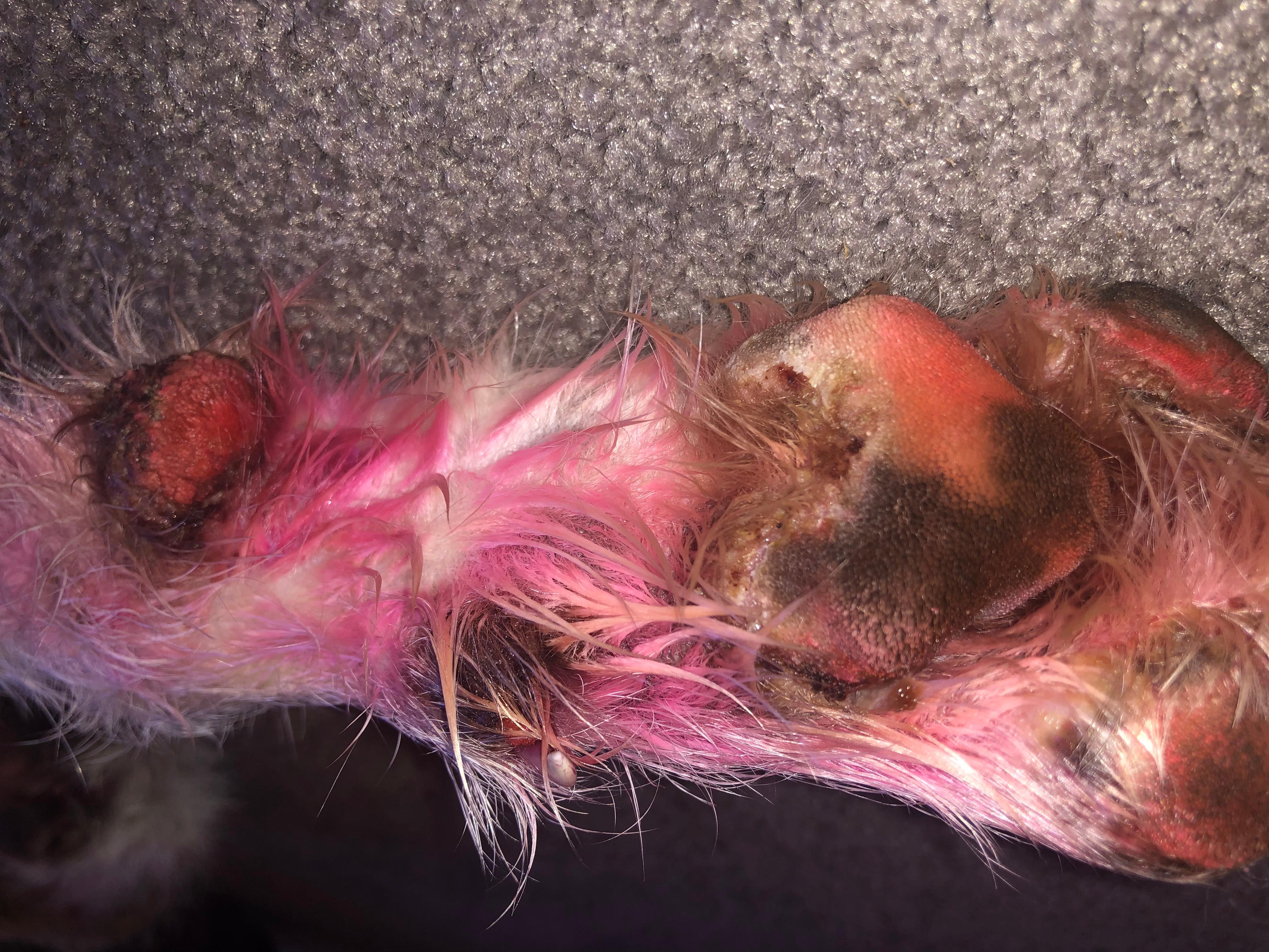 Question details sensitive content