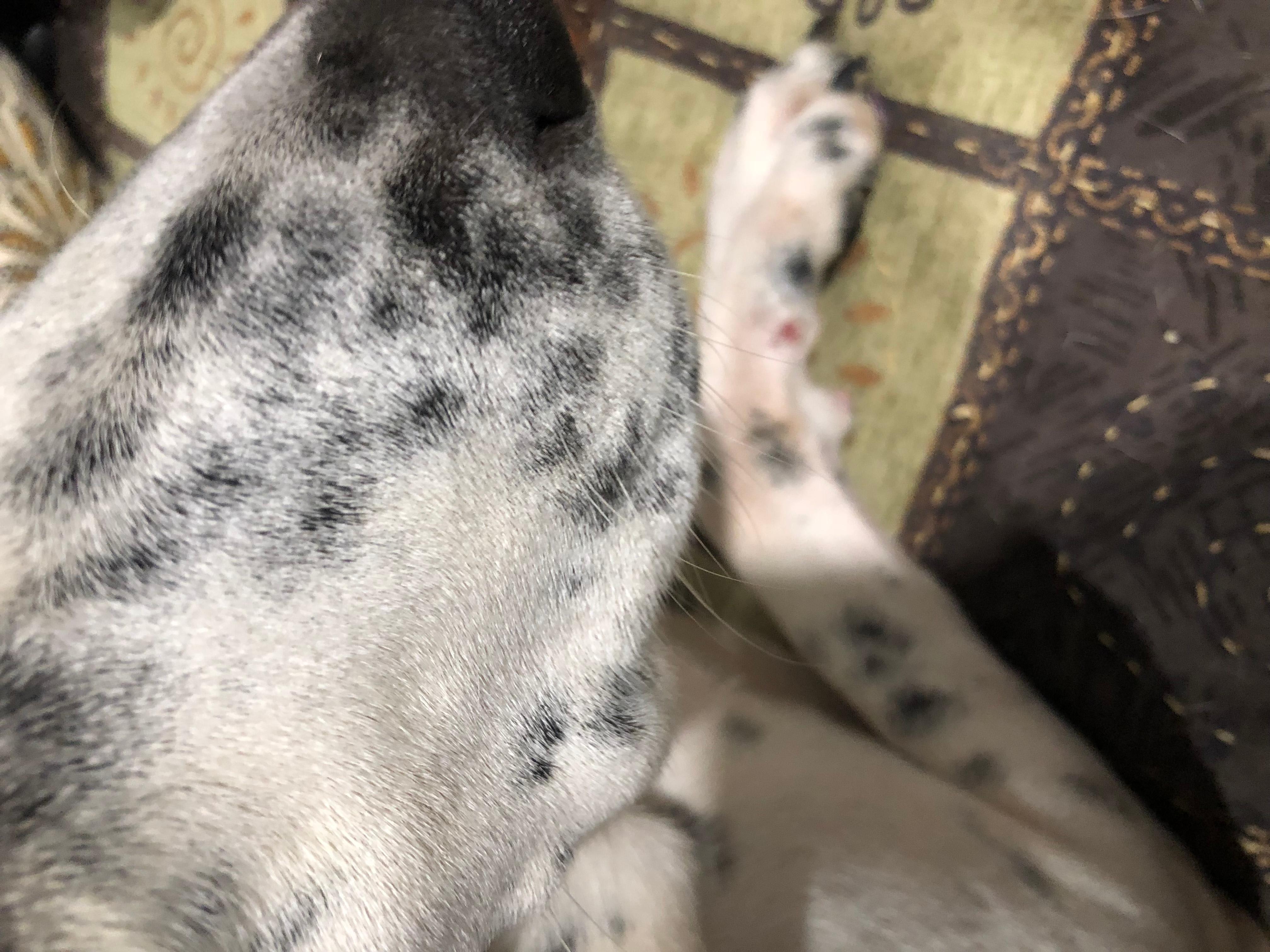 Question details sensitive content