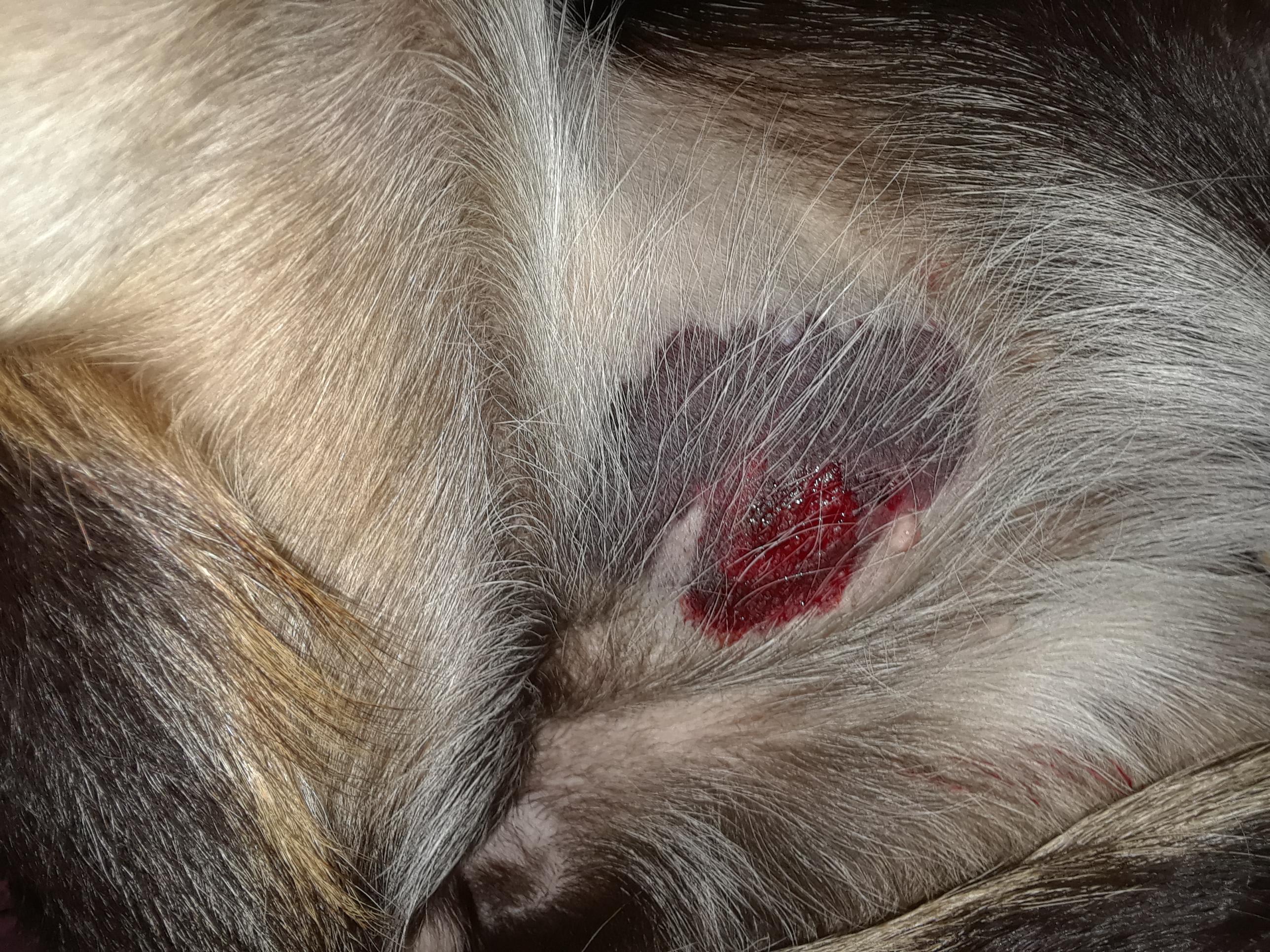 Question details sensitive content