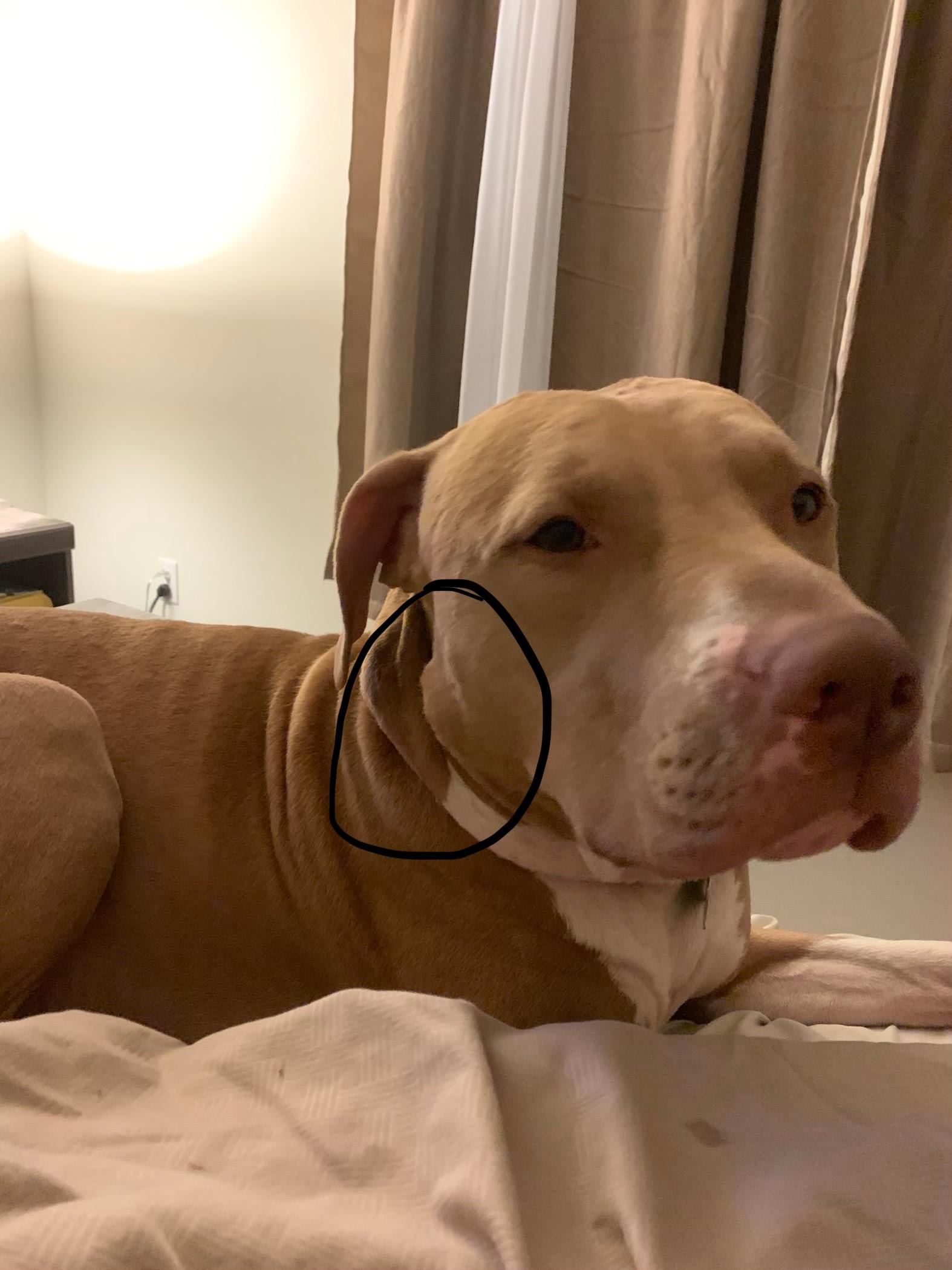 Question details sensitive content