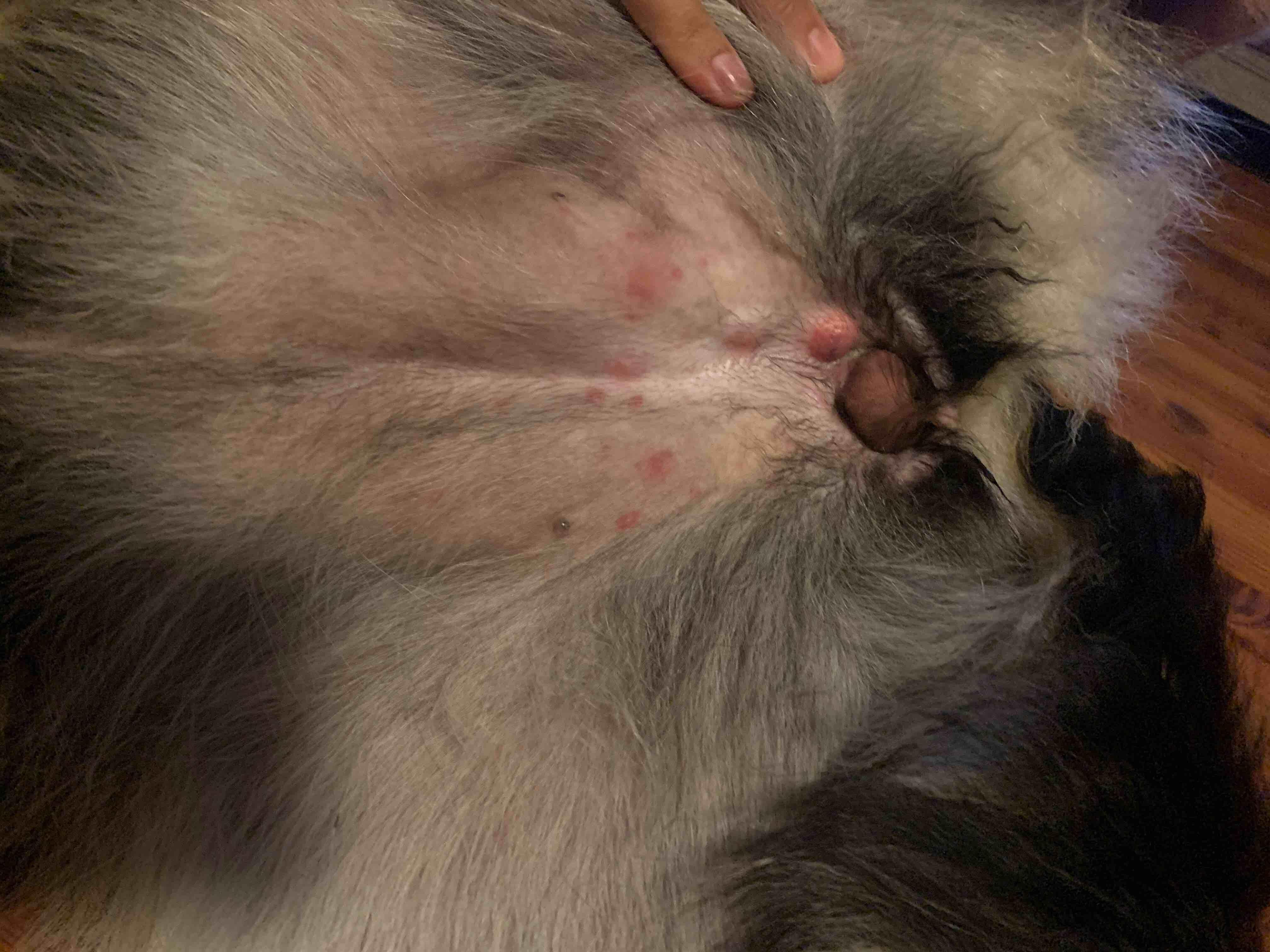 Question details sensitive content