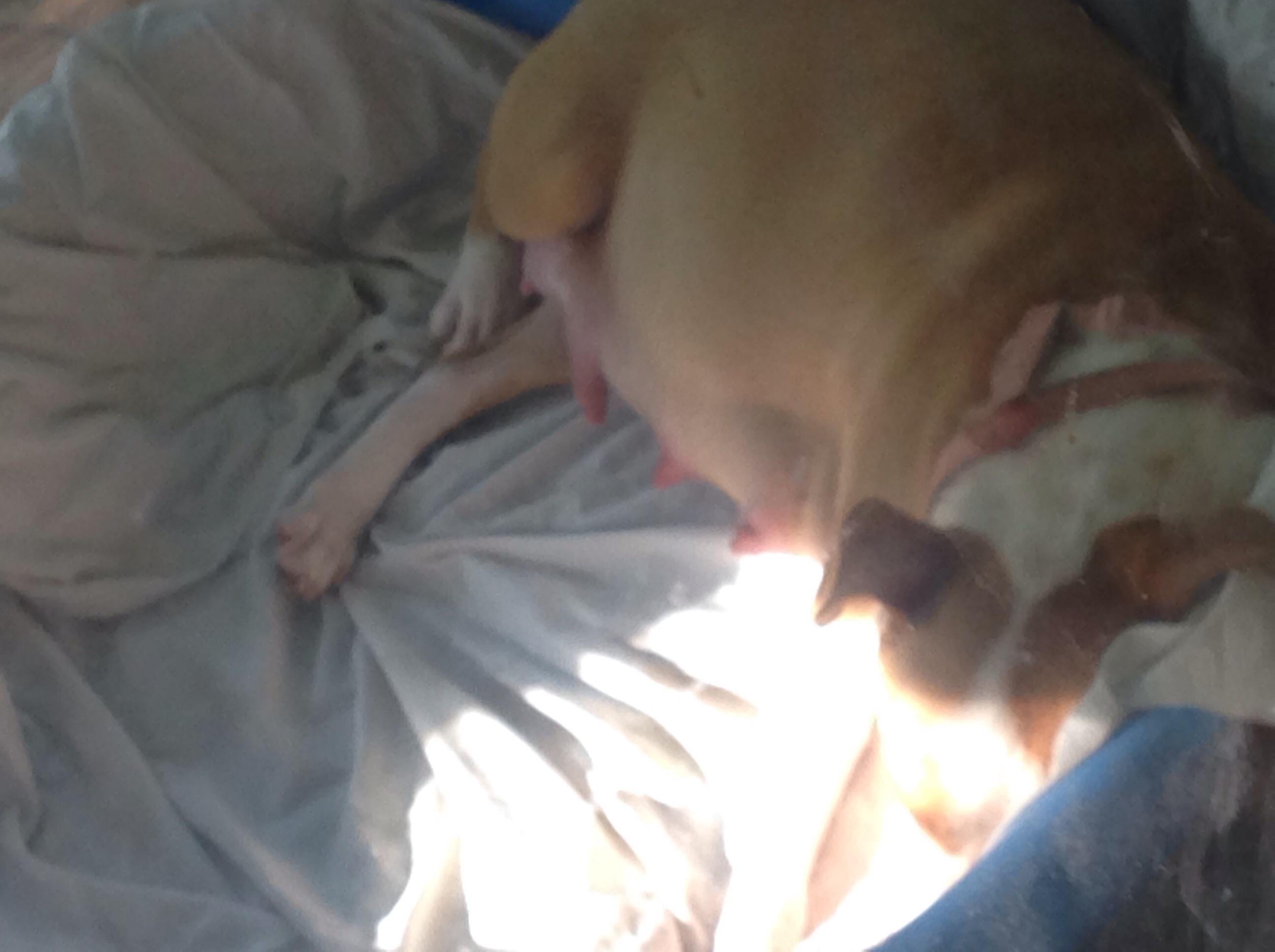 Question details sensitive content