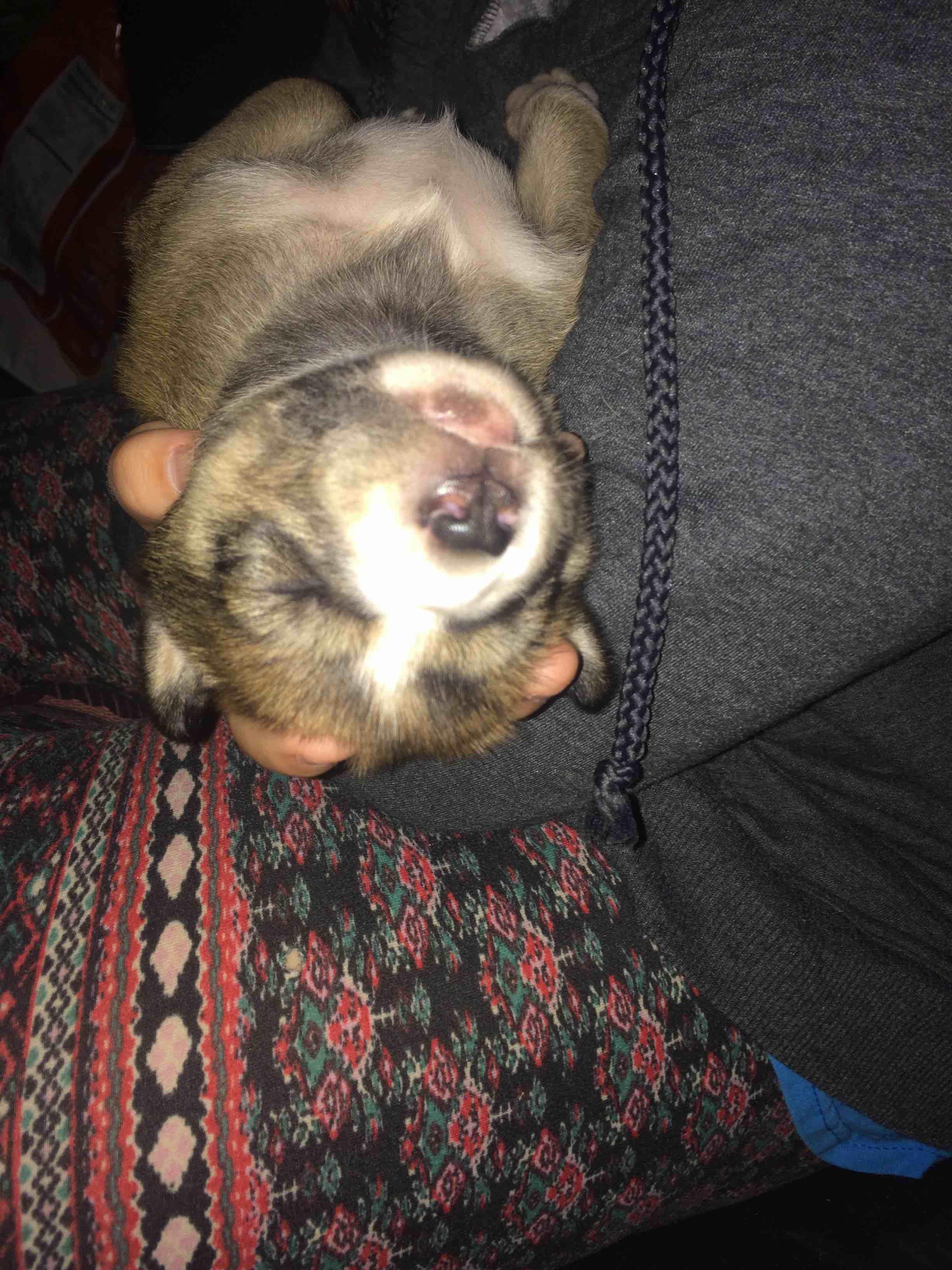 Question details sensitive content