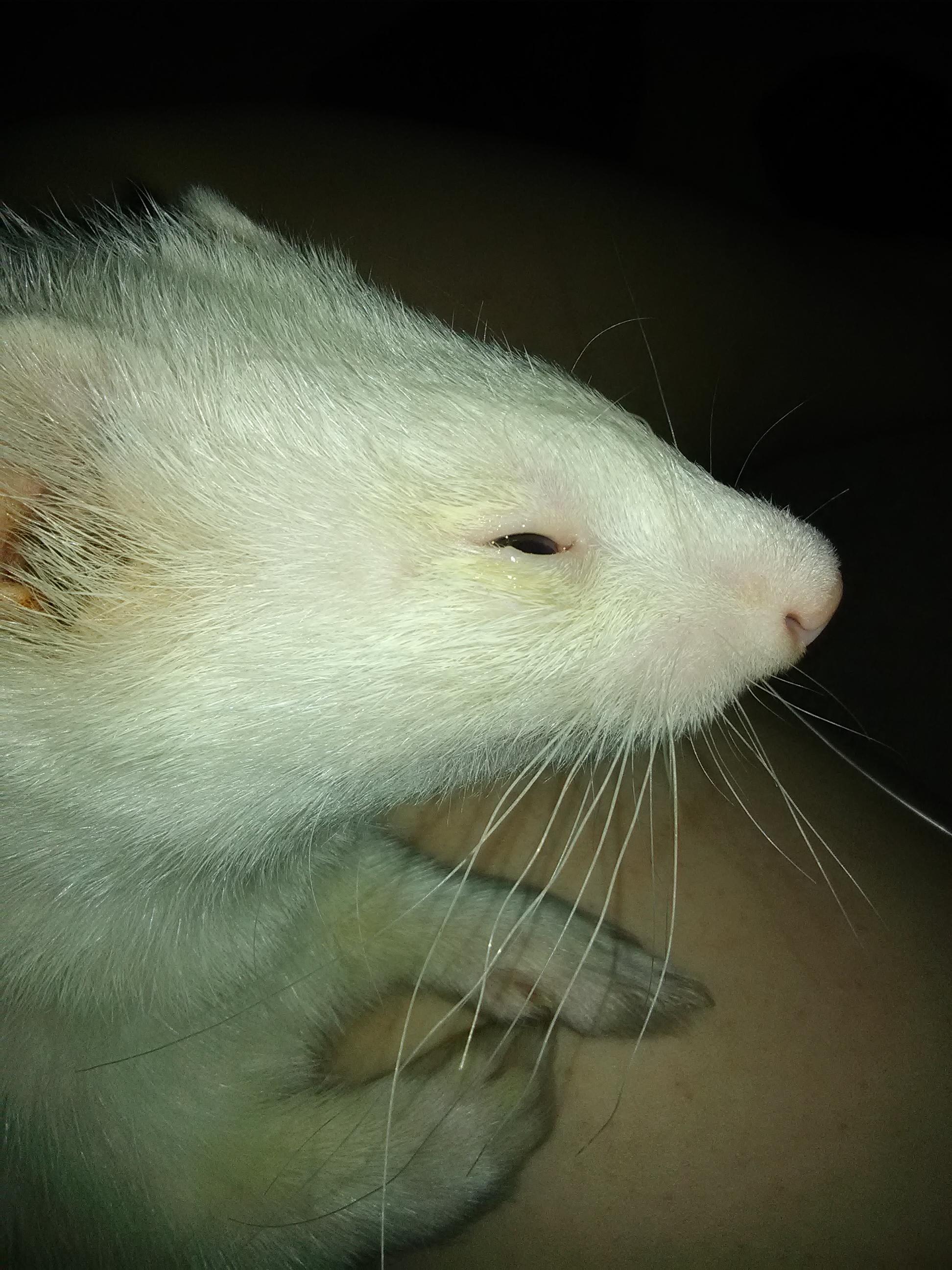 Question details sensitive content