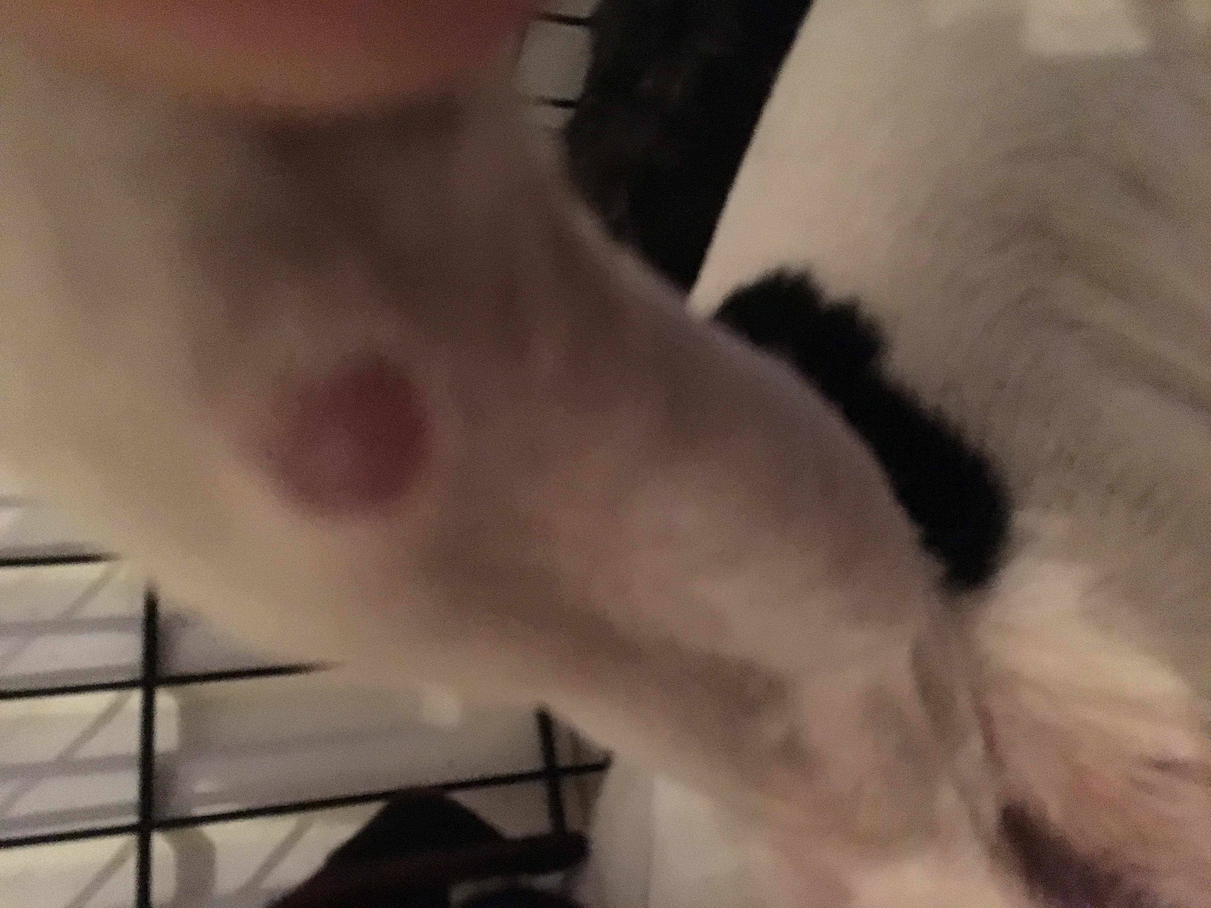 Question details sensitive content