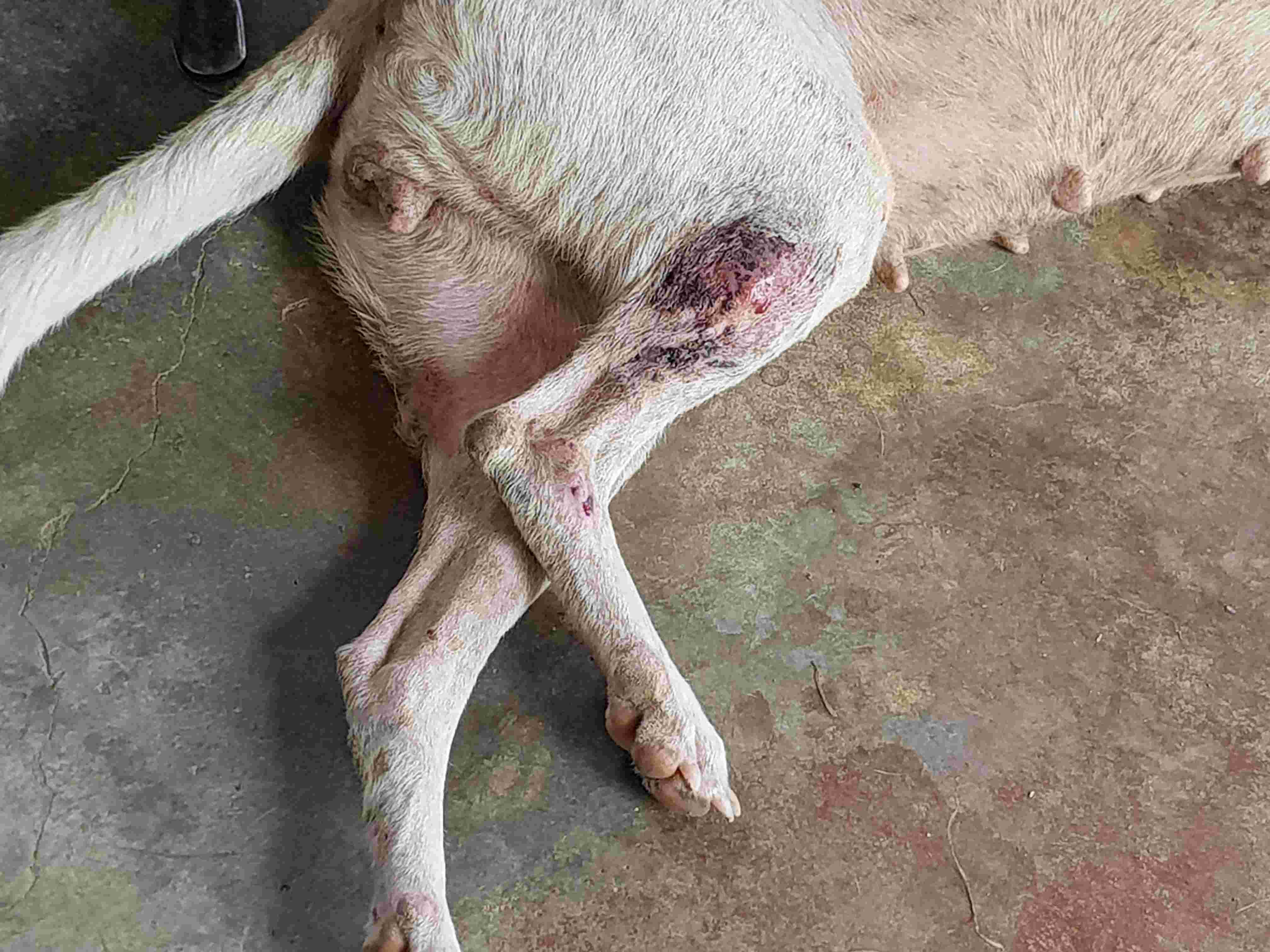 Question details sensitive content