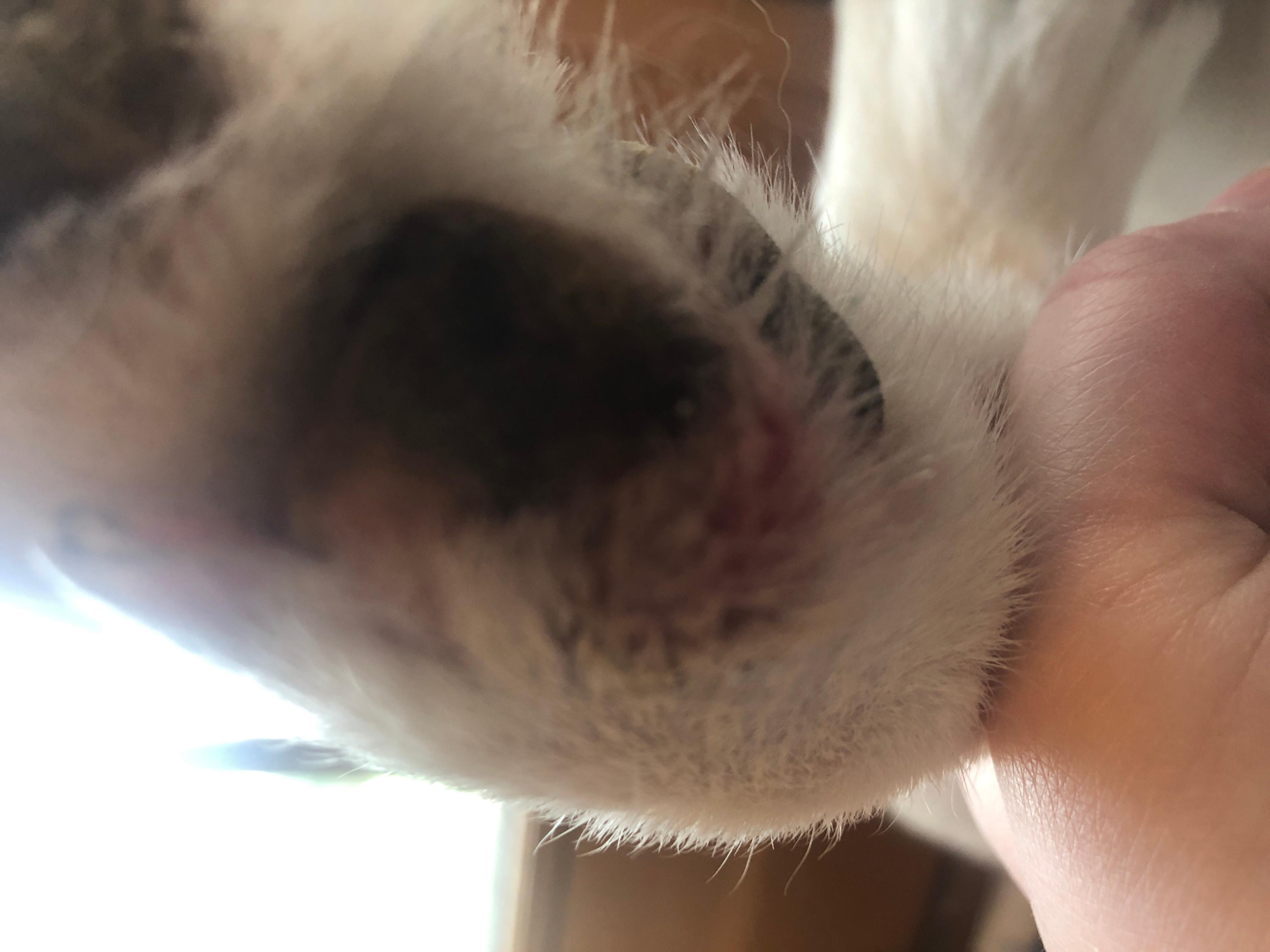 Question details sensitive content